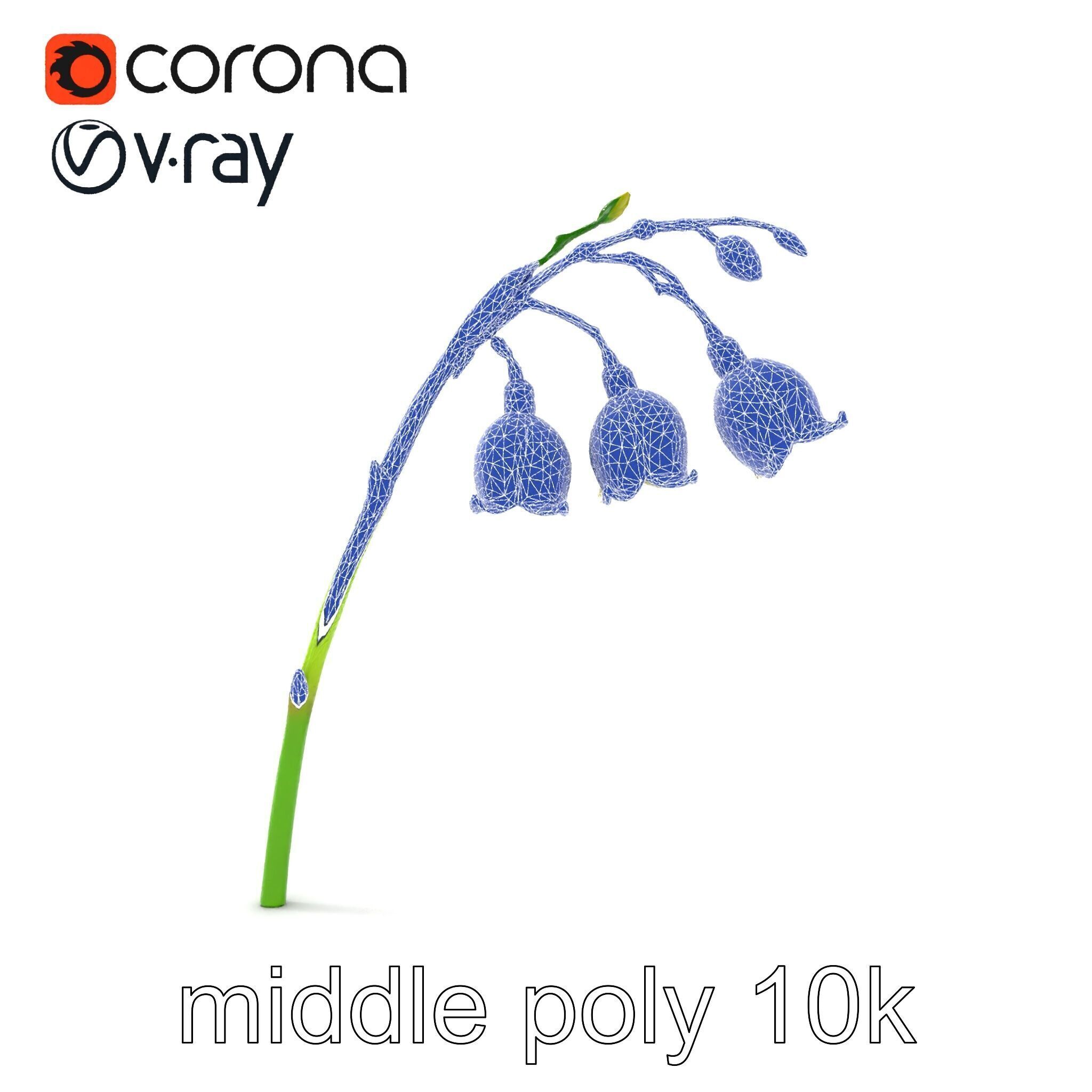 Cream Lily of the Valley Botanical model pack Low-poly 3D model_24