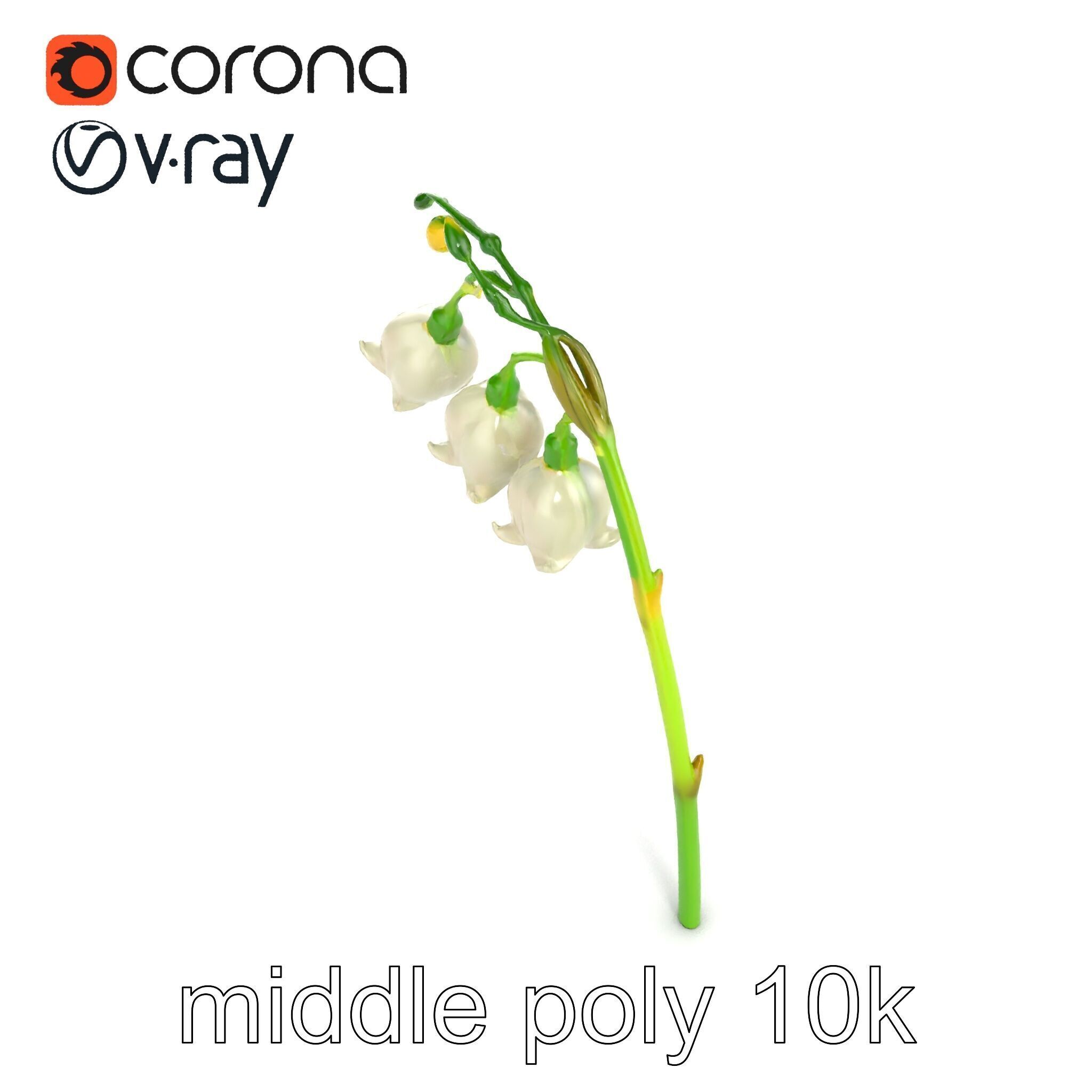 Cream Lily of the Valley Botanical model pack Low-poly 3D model_17