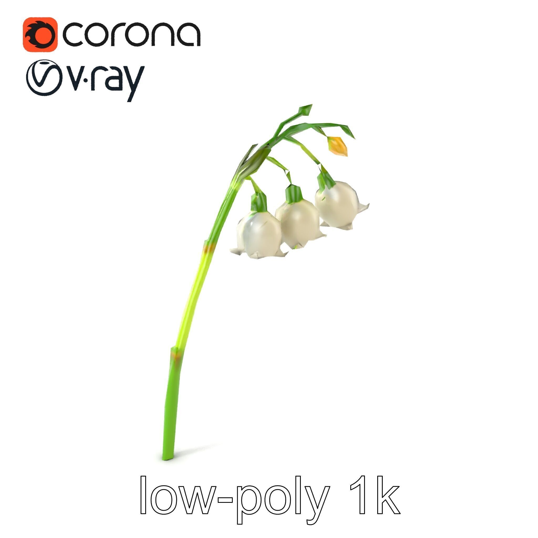 Cream Lily of the Valley Botanical model pack Low-poly 3D model_5