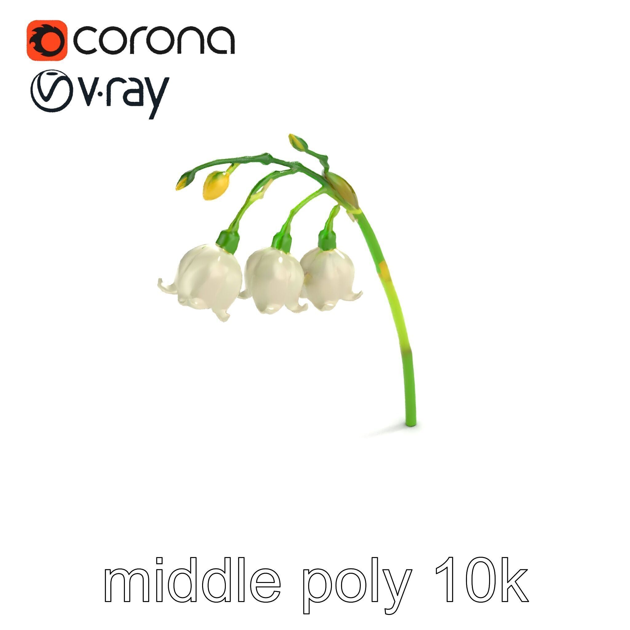Cream Lily of the Valley Botanical model pack Low-poly 3D model_8