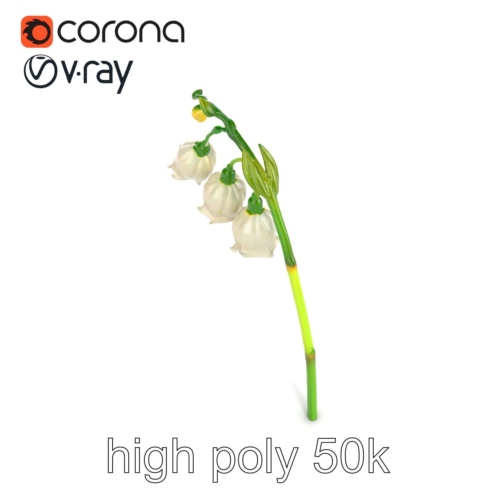 Cream Lily of the Valley Botanical model pack Low-poly 3D model_23