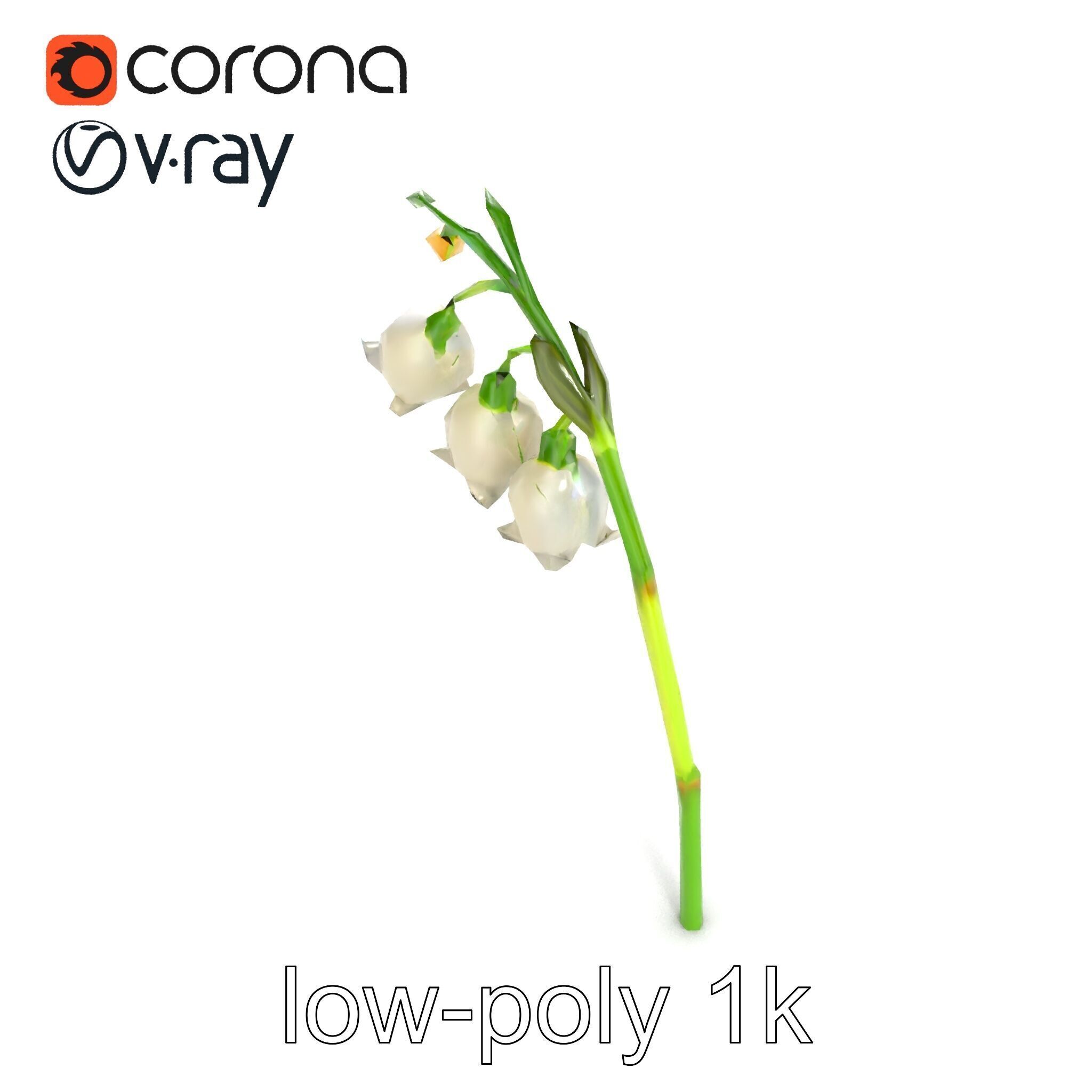Cream Lily of the Valley Botanical model pack Low-poly 3D model_14