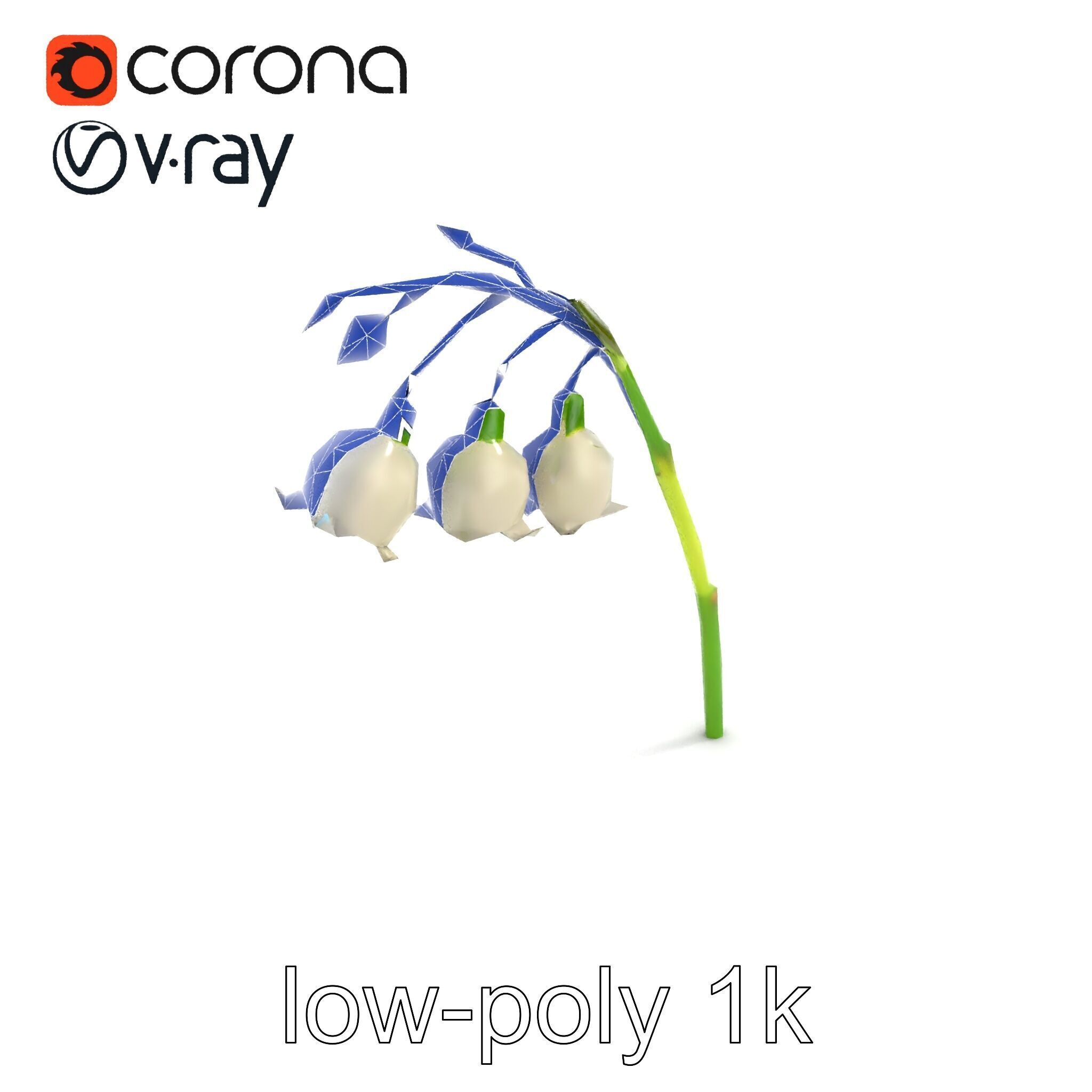 Cream Lily of the Valley Botanical model pack Low-poly 3D model_11