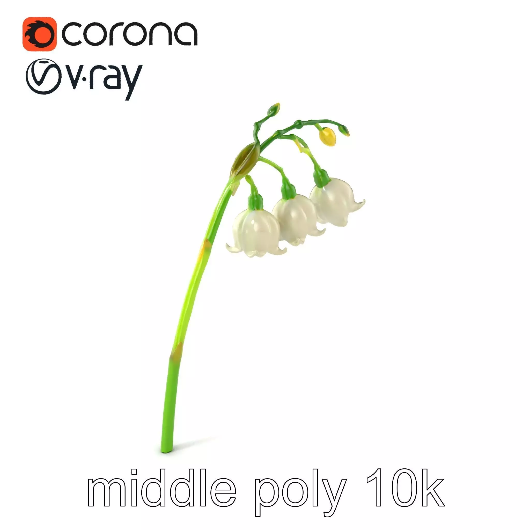 Cream Lily of the Valley Botanical model pack Low-poly 3D model_0