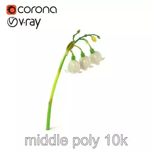 Cream Lily of the Valley Botanical model pack Low-poly 3D model Cream Lily of the Valley Botanical model pack Low-poly 3D model