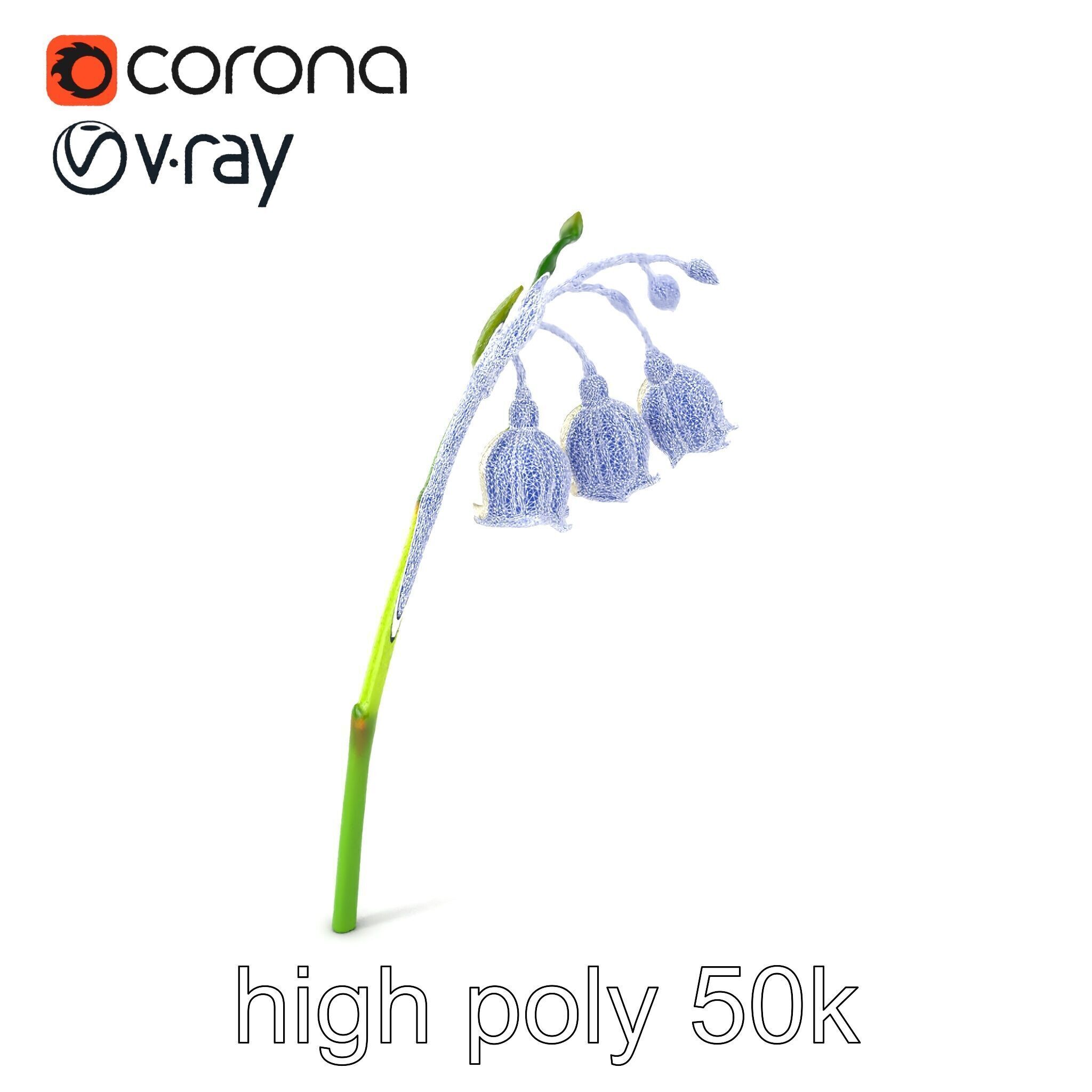 Cream Lily of the Valley Botanical model pack Low-poly 3D model_10
