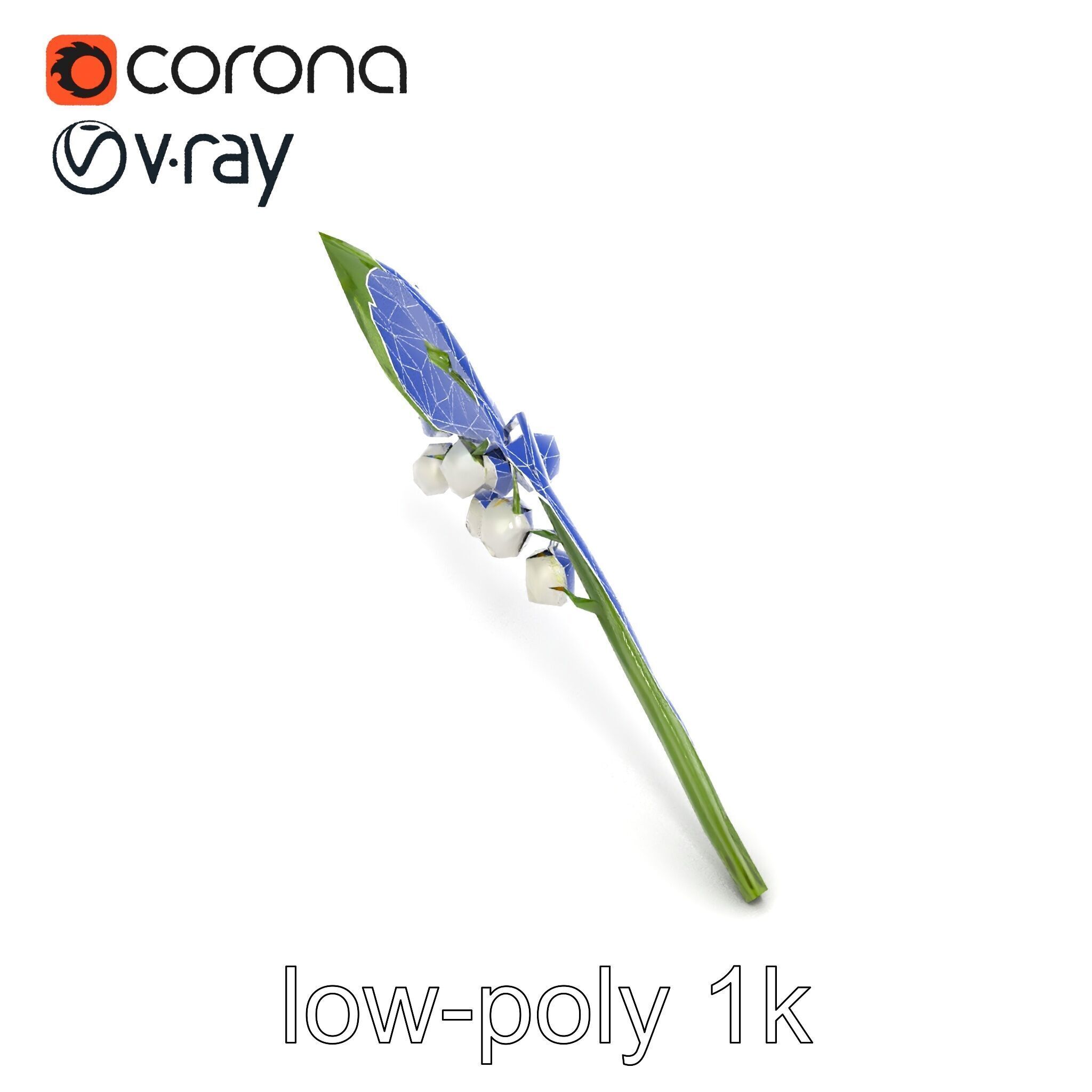 Lily of the Valley Botanical model pack Low-poly 3D model_22