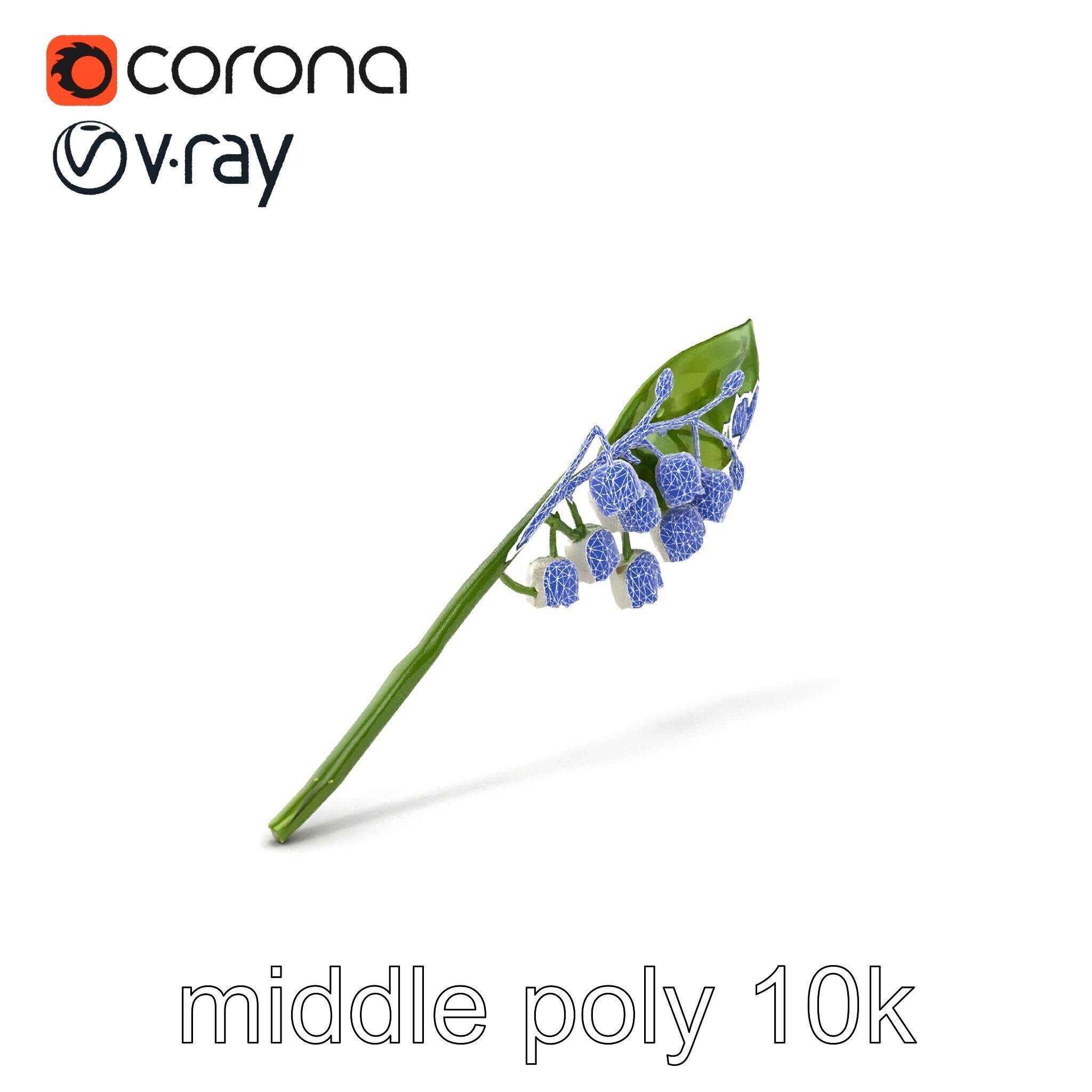 Lily of the Valley Botanical model pack Low-poly 3D model_5