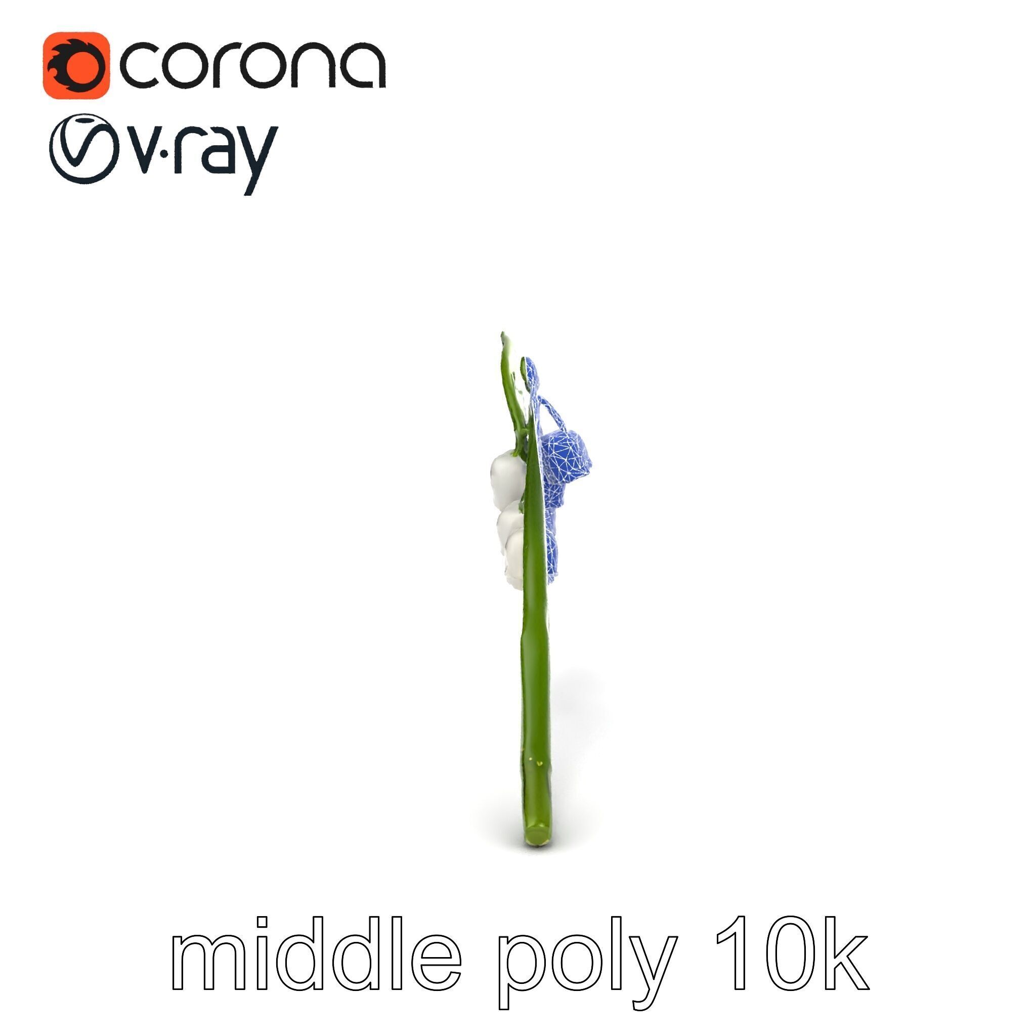 Lily of the Valley Botanical model pack Low-poly 3D model_15