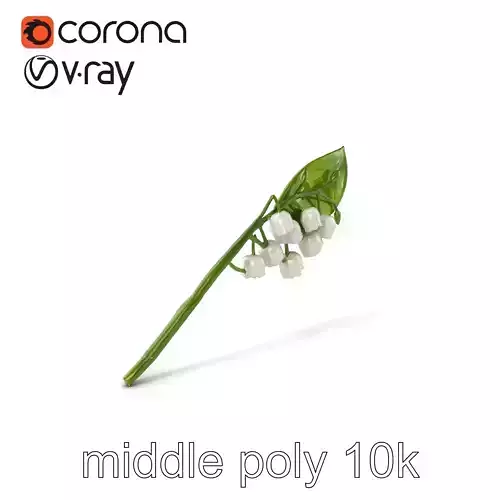 Lily of the Valley Botanical model pack Low-poly 3D model Lily of the Valley Botanical model pack Low-poly 3D model