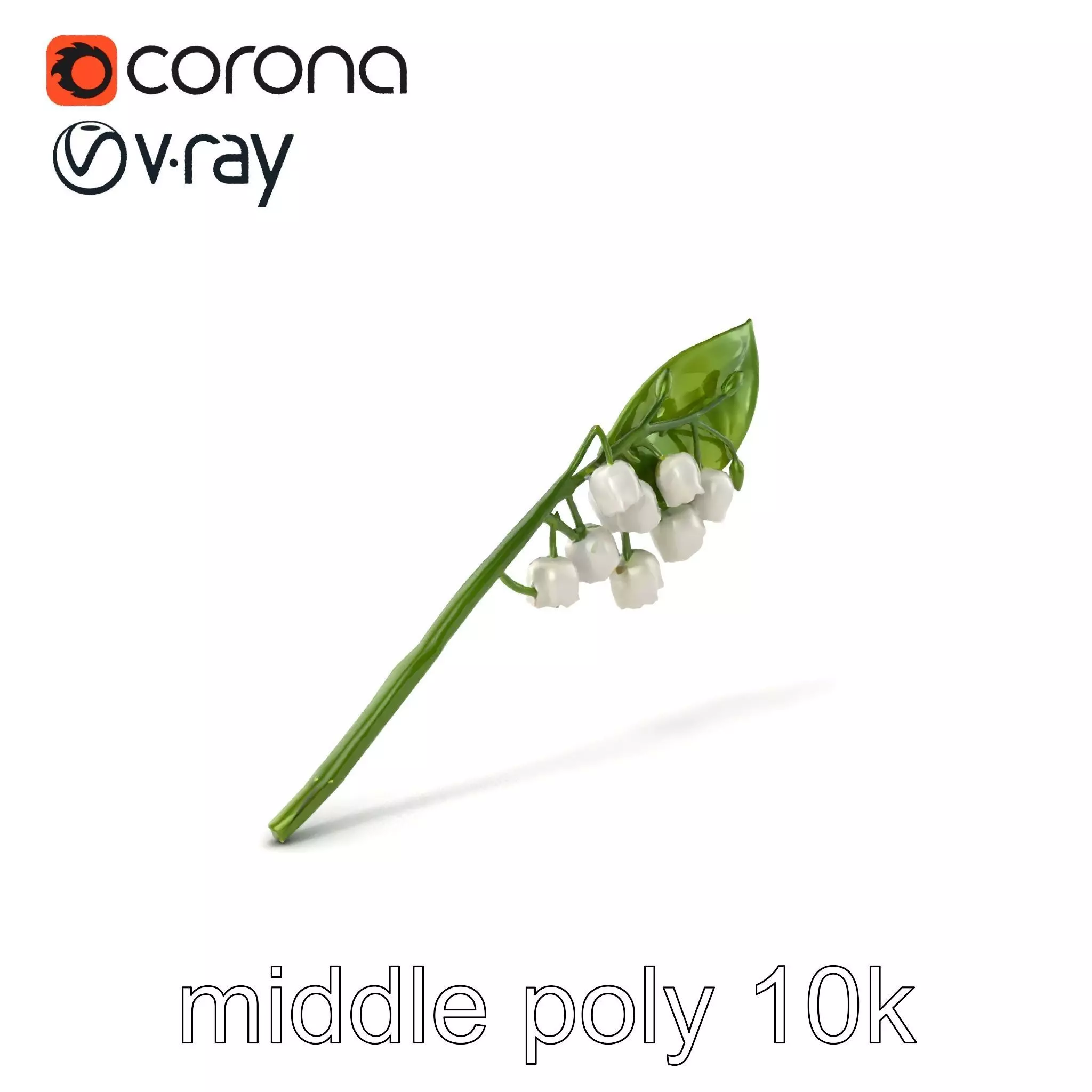 Lily of the Valley Botanical model pack Low-poly 3D model_0