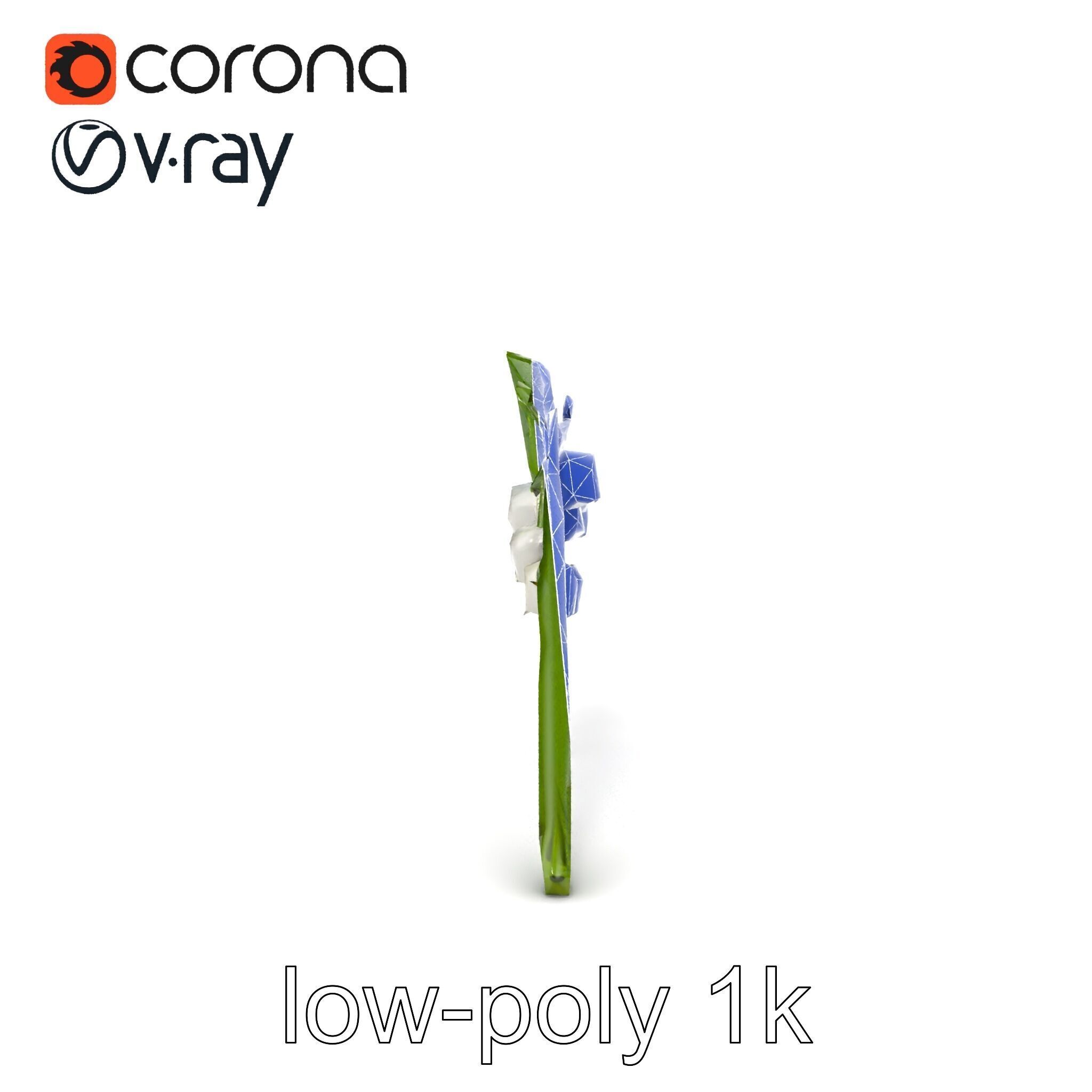 Lily of the Valley Botanical model pack Low-poly 3D model_26
