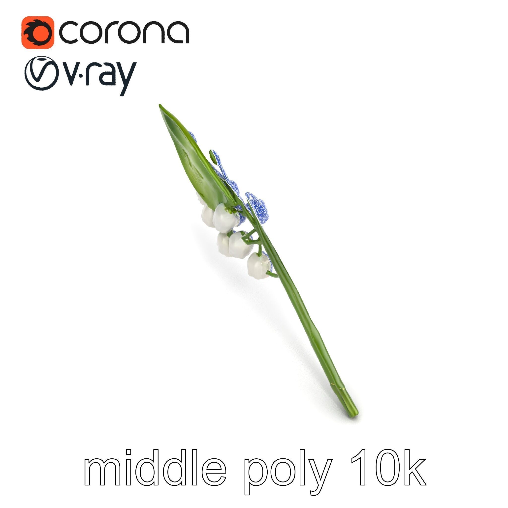 Lily of the Valley Botanical model pack Low-poly 3D model_17