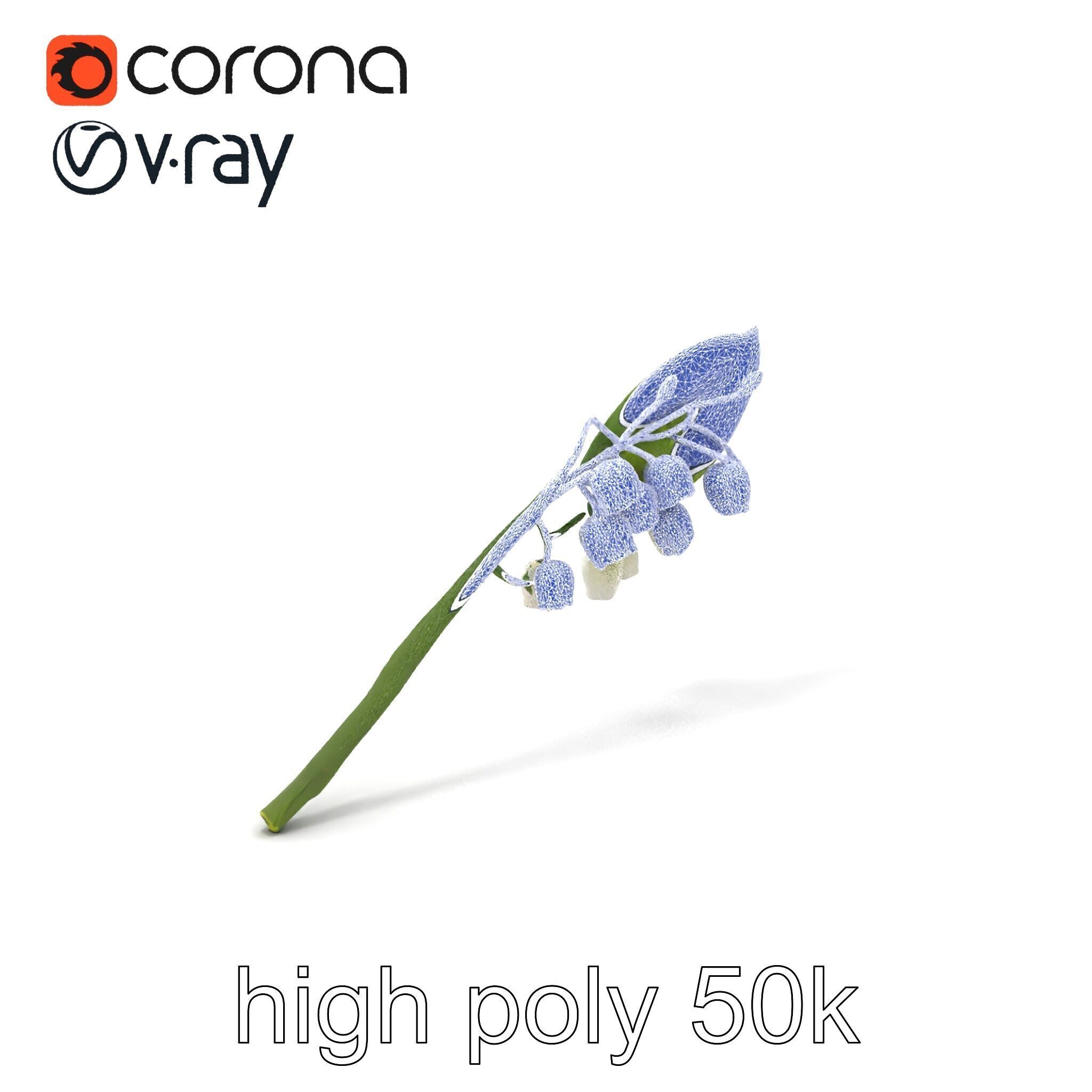 Lily of the Valley Botanical model pack Low-poly 3D model_1