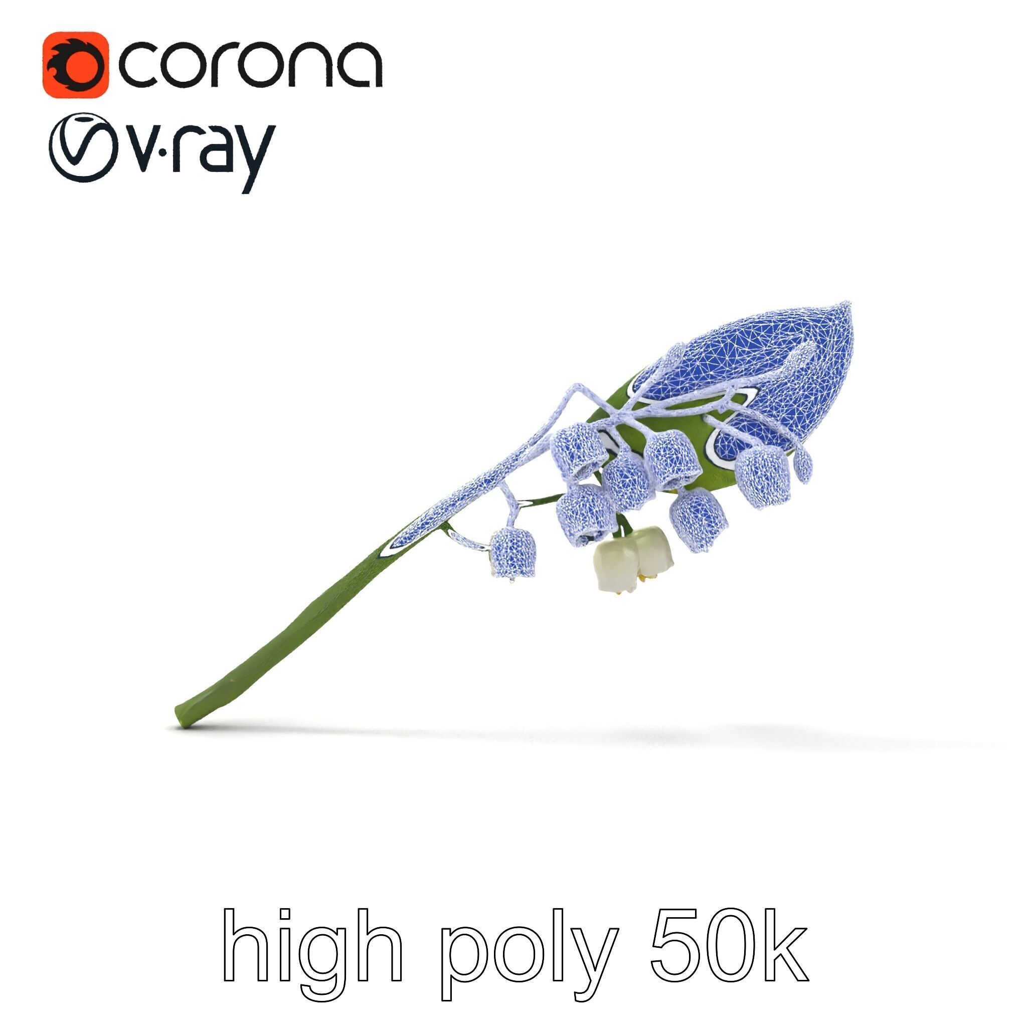 Lily of the Valley Botanical model pack Low-poly 3D model_29