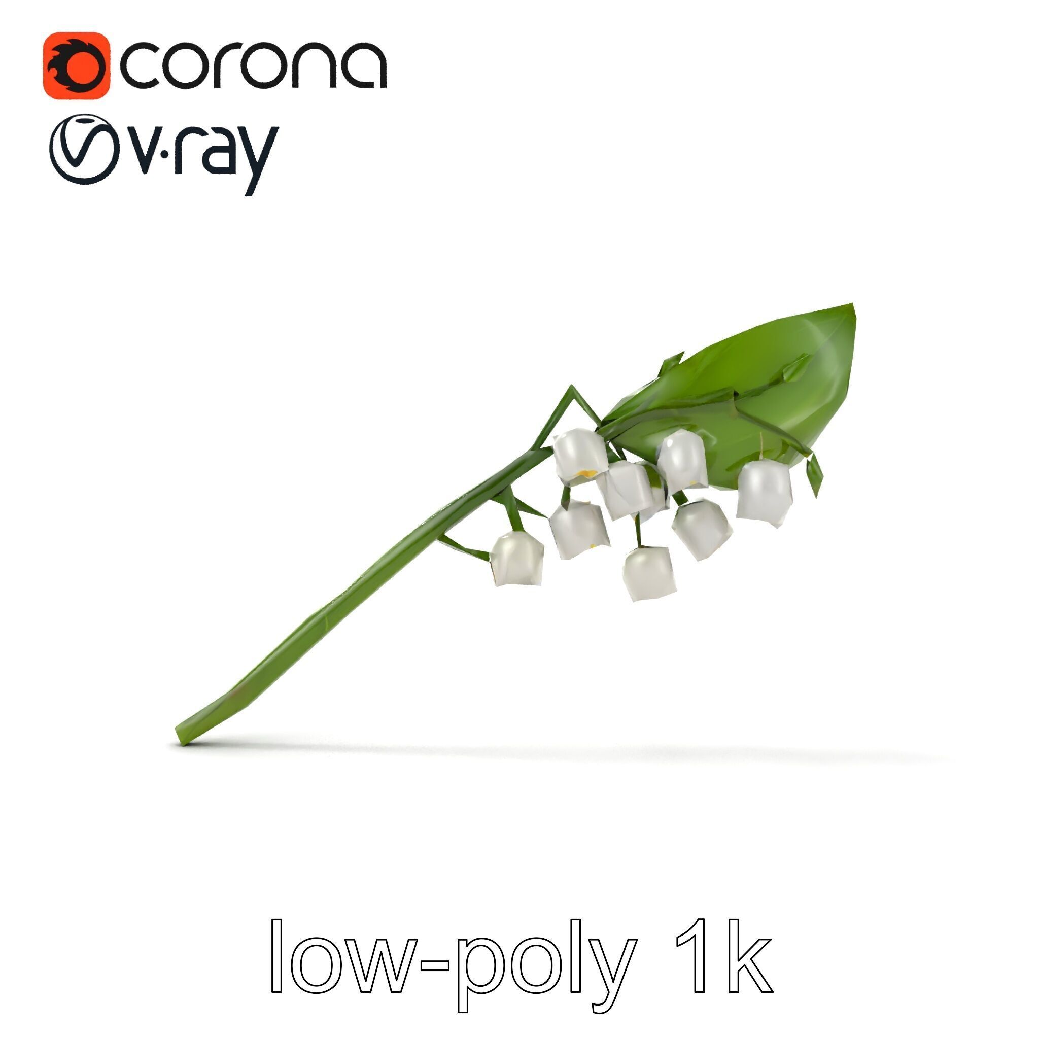 Lily of the Valley Botanical model pack Low-poly 3D model_21