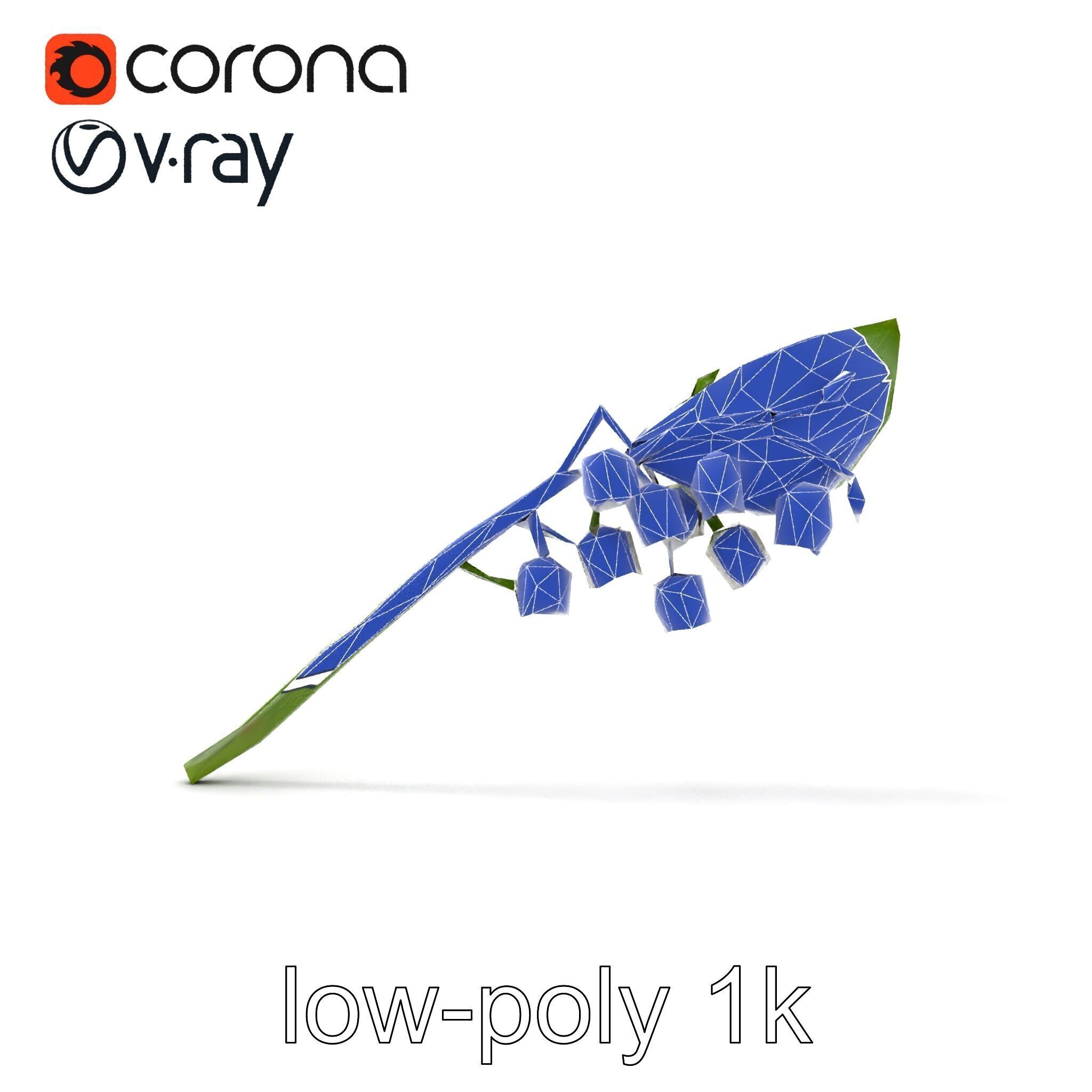 Lily of the Valley Botanical model pack Low-poly 3D model_30