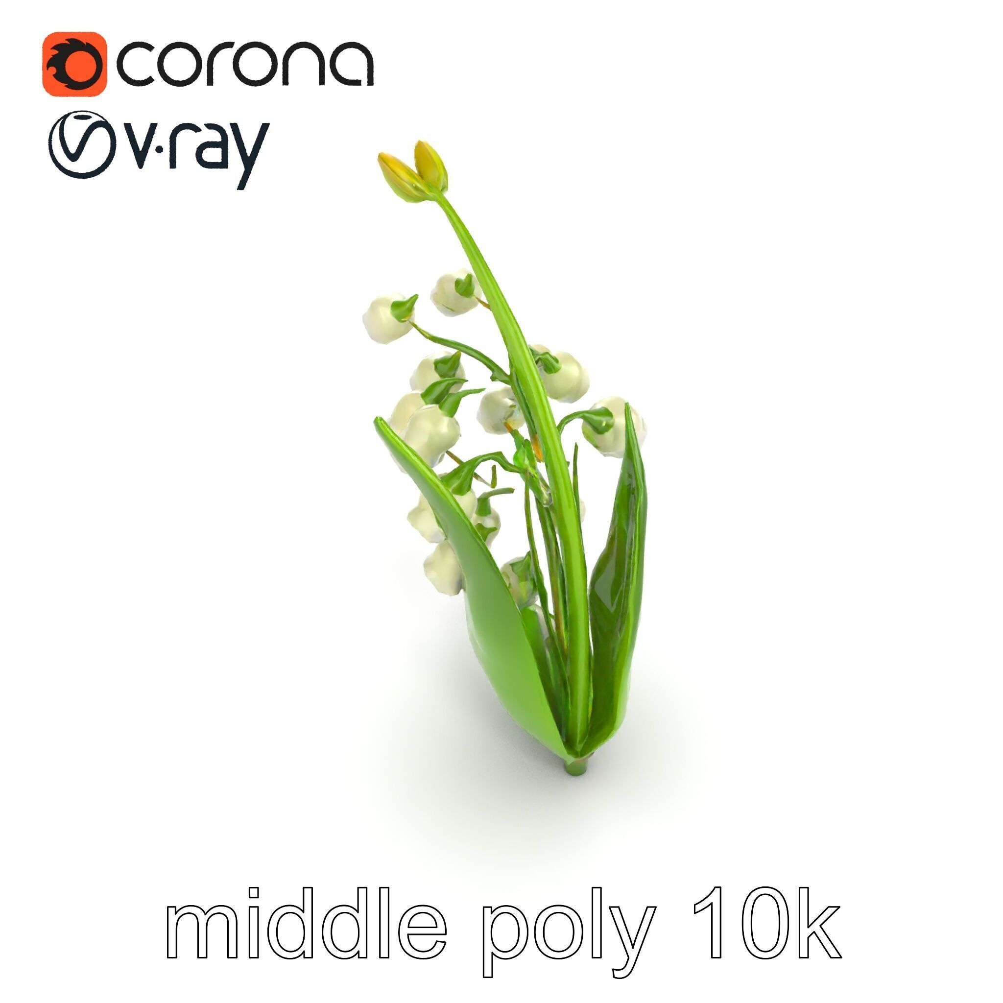 Lily of the Valley Nature-Inspired Realistic Floral model pack Low-poly 3D model_11