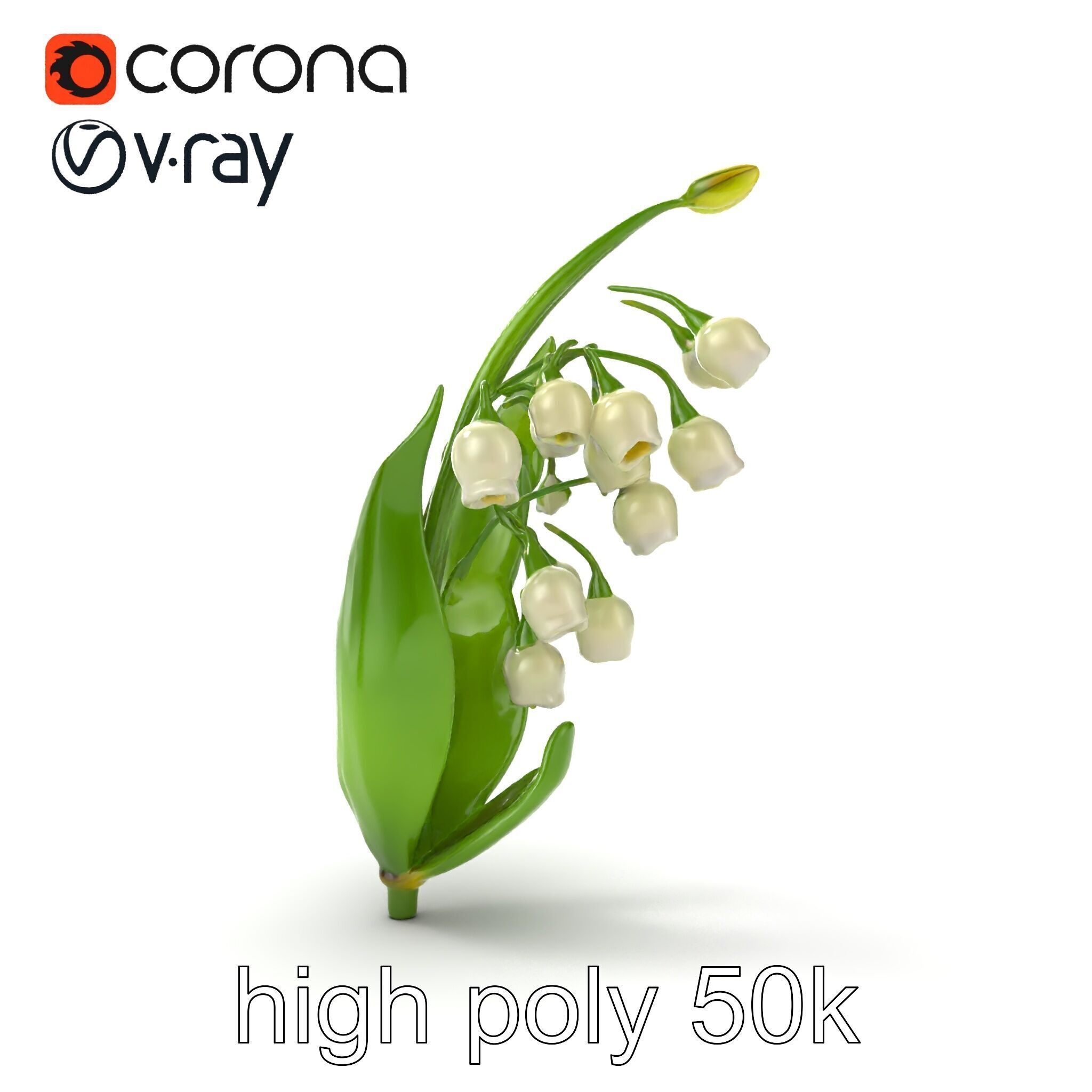 Lily of the Valley Nature-Inspired Realistic Floral model pack Low-poly 3D model_26