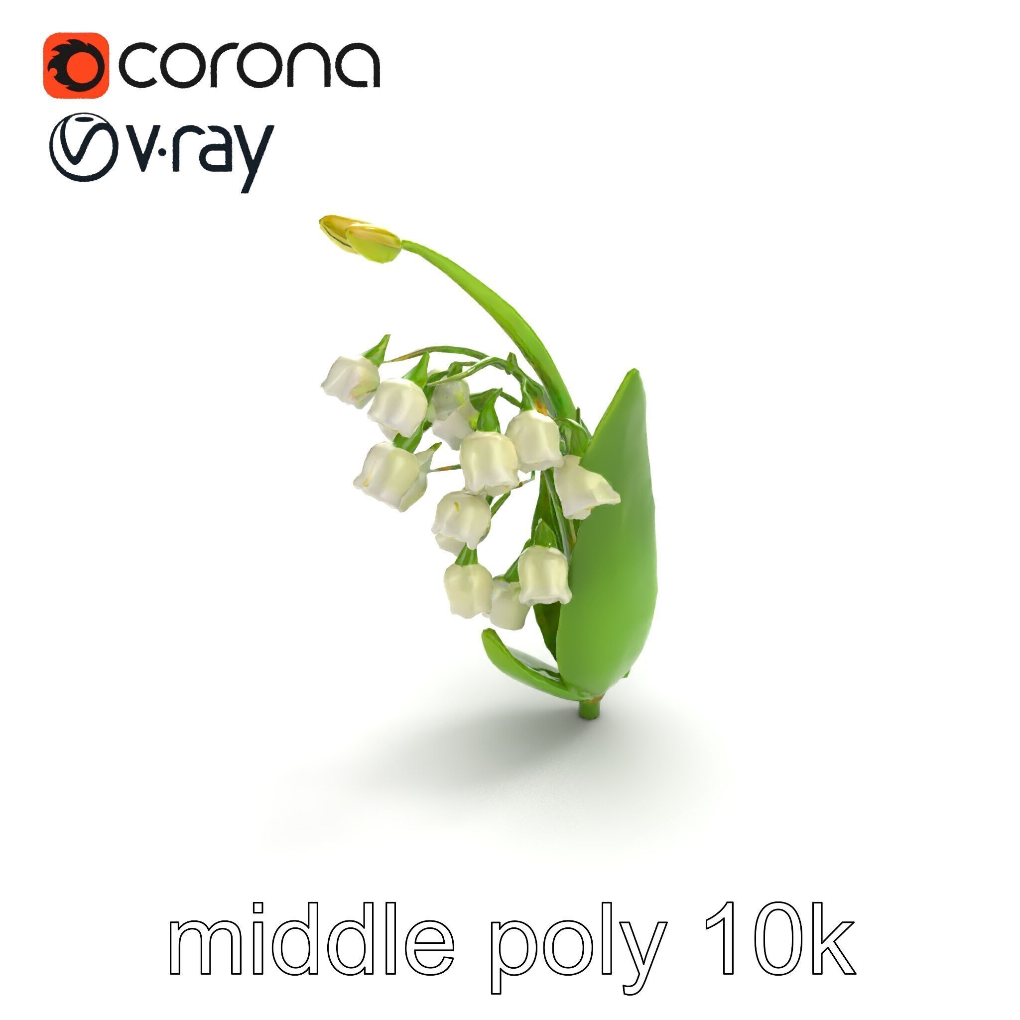 Lily of the Valley Nature-Inspired Realistic Floral model pack Low-poly 3D model_8