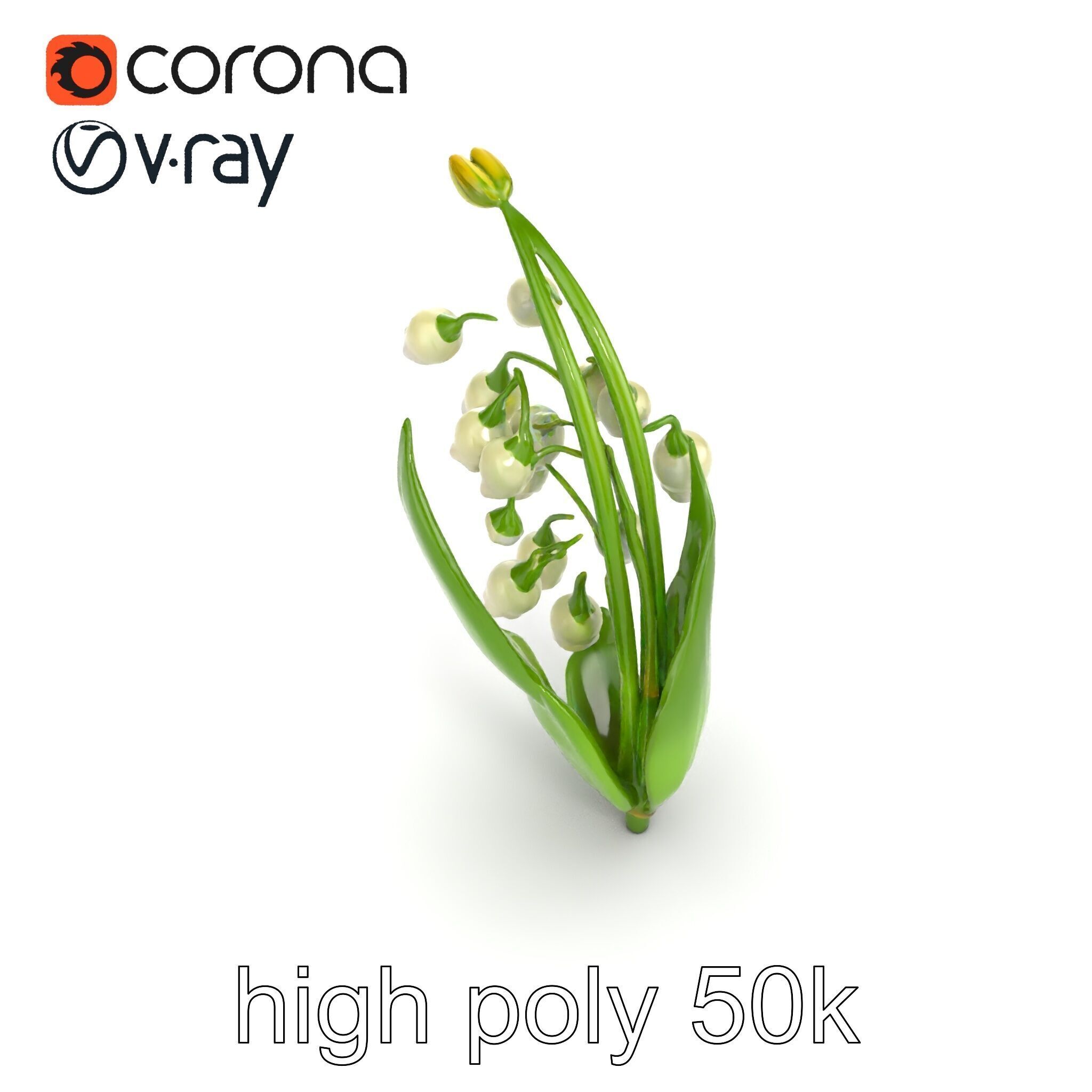 Lily of the Valley Nature-Inspired Realistic Floral model pack Low-poly 3D model_24