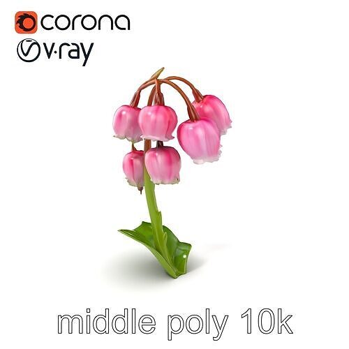 Pink Lily of the Valley Flower Model Pack Low-poly 3D model