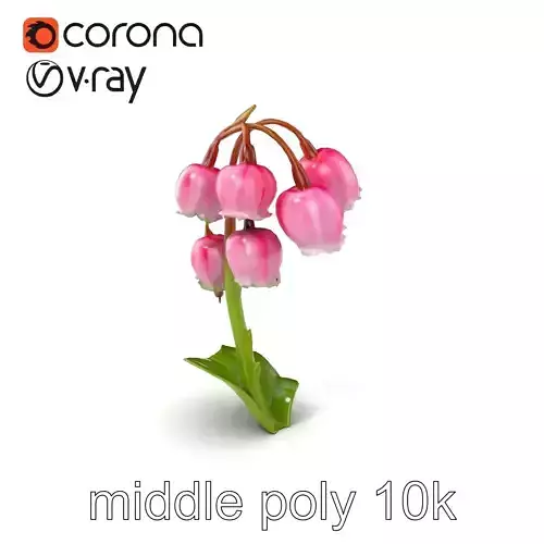 Pink Lily of the Valley Flower Model Pack