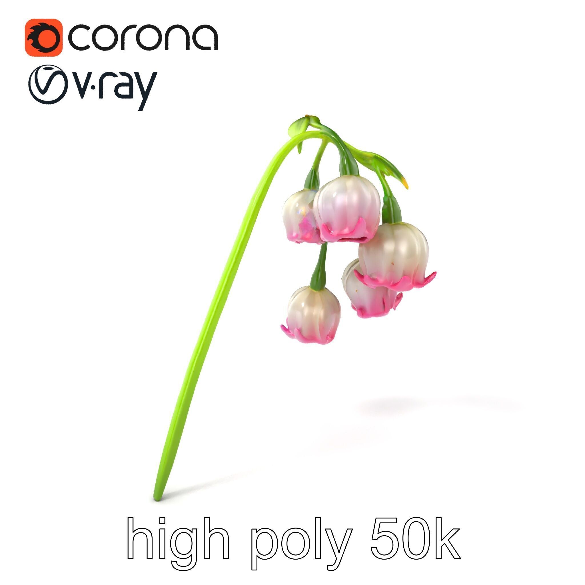 Bicolor Lily of the Valley model pack Low-poly 3D model_2