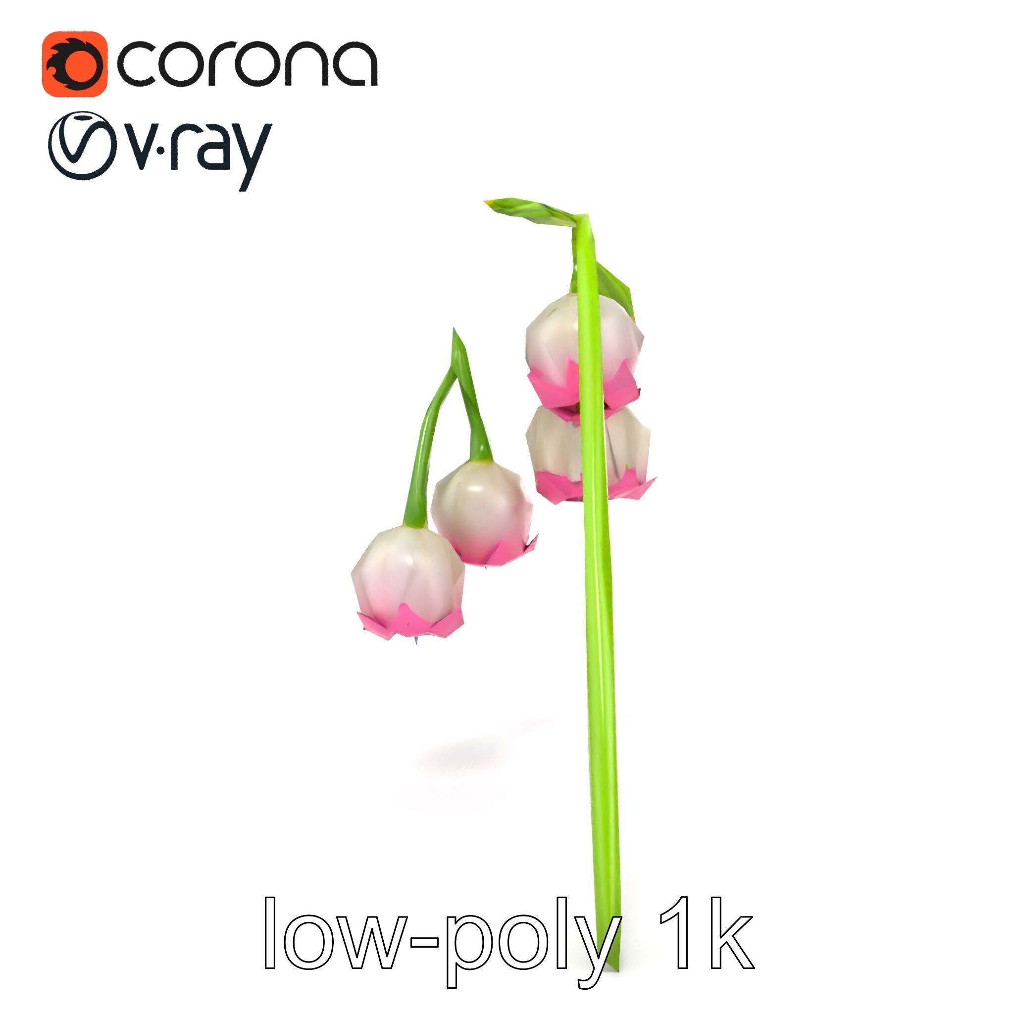 Bicolor Lily of the Valley model pack Low-poly 3D model_23