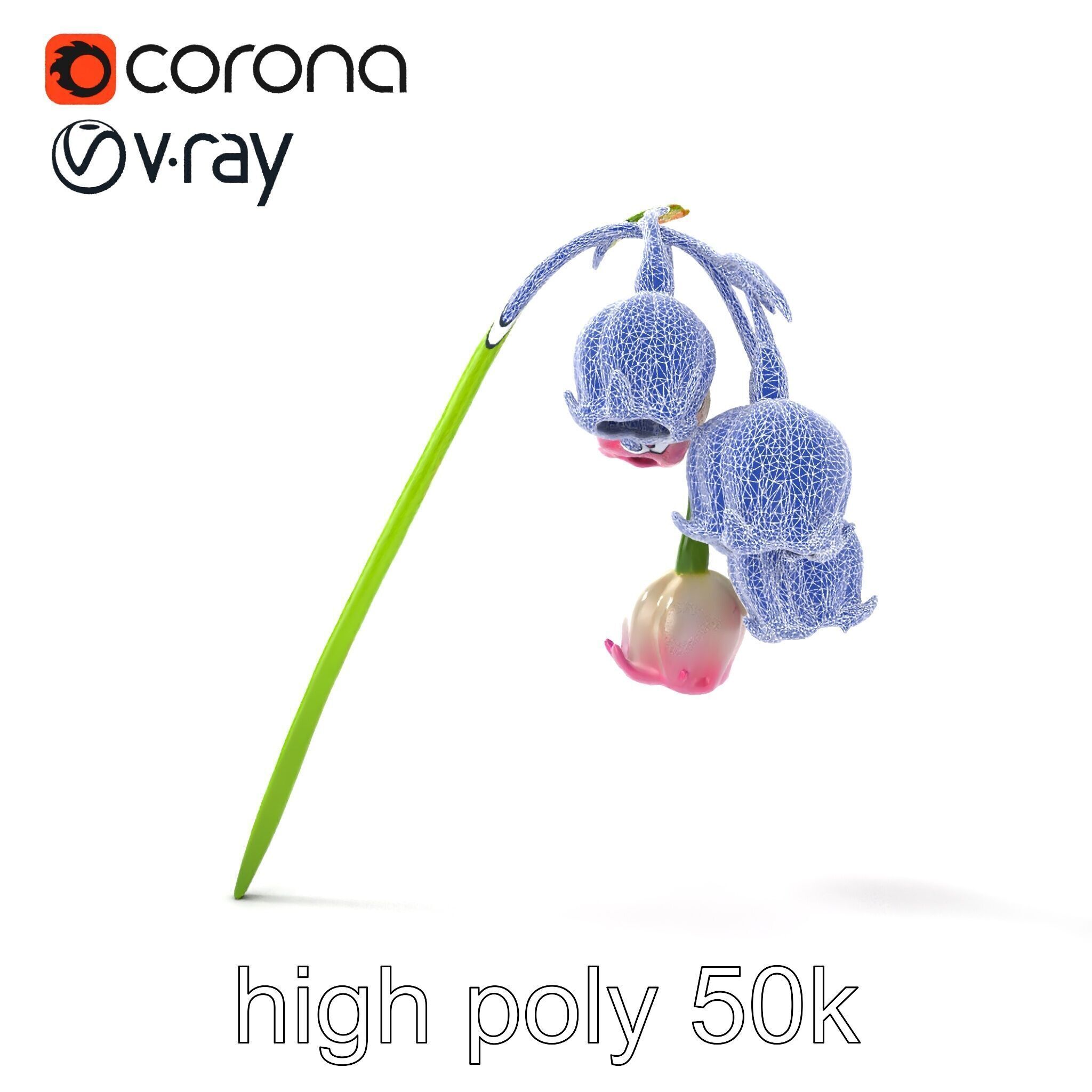 Bicolor Lily of the Valley model pack Low-poly 3D model_19