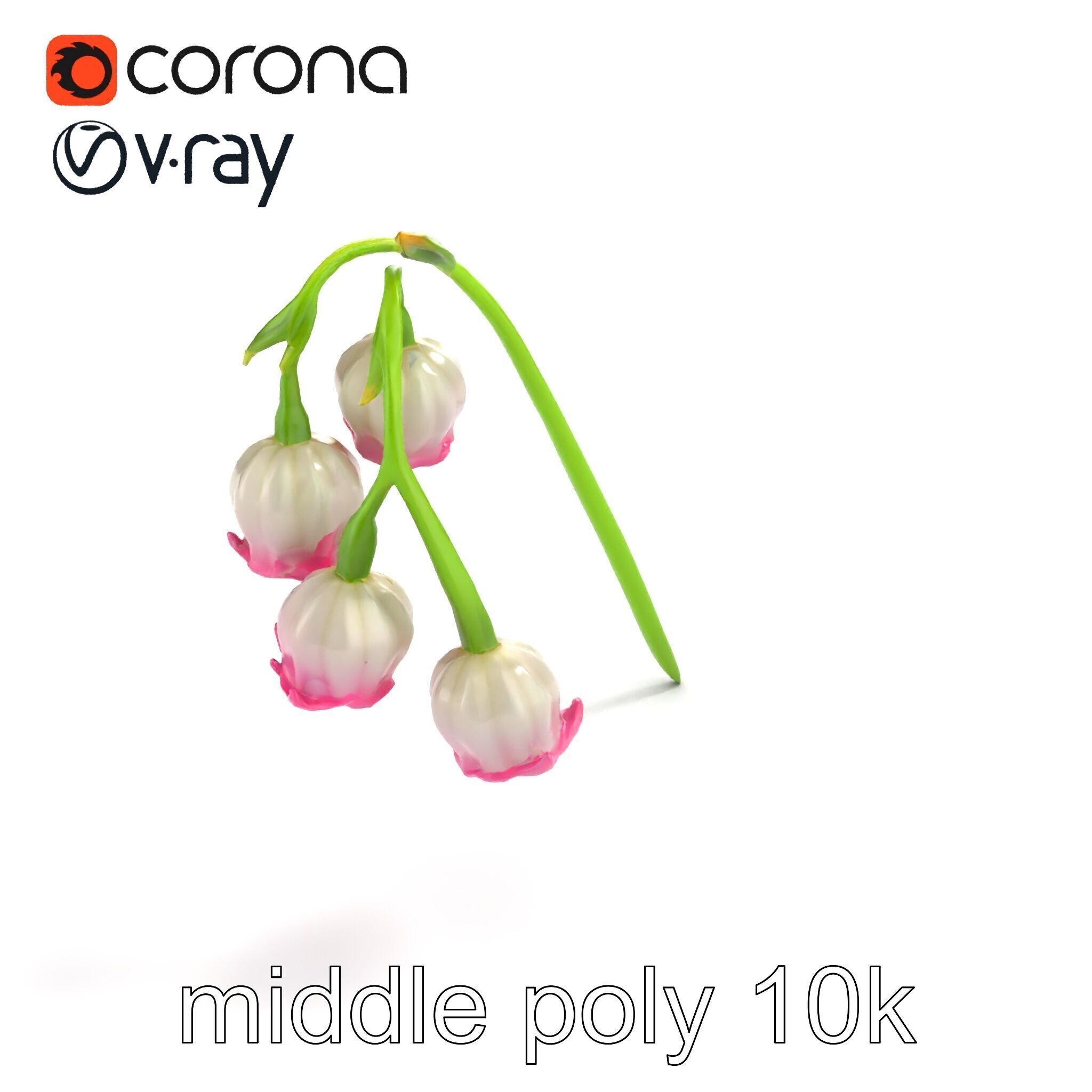 Bicolor Lily of the Valley model pack Low-poly 3D model_7