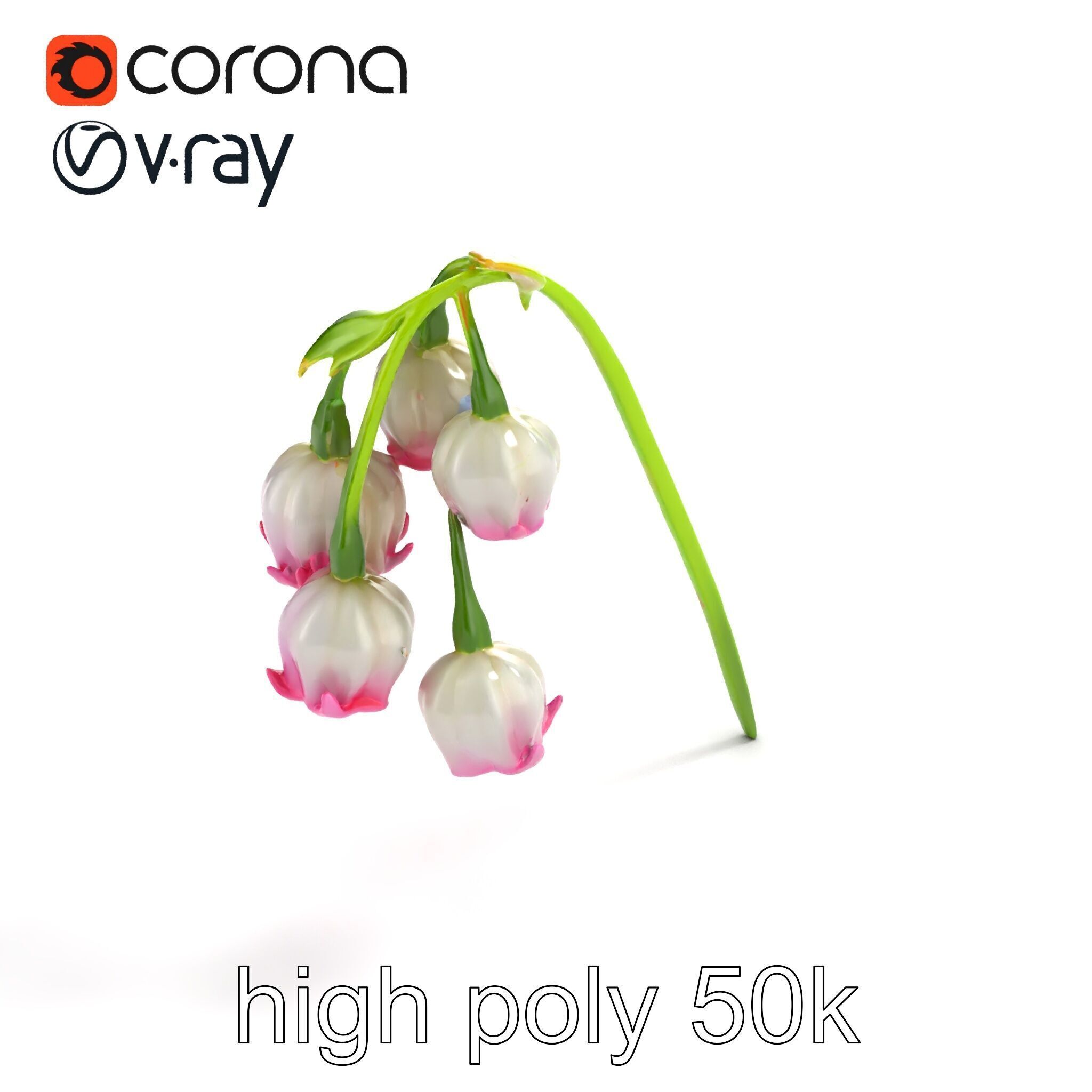 Bicolor Lily of the Valley model pack Low-poly 3D model_9