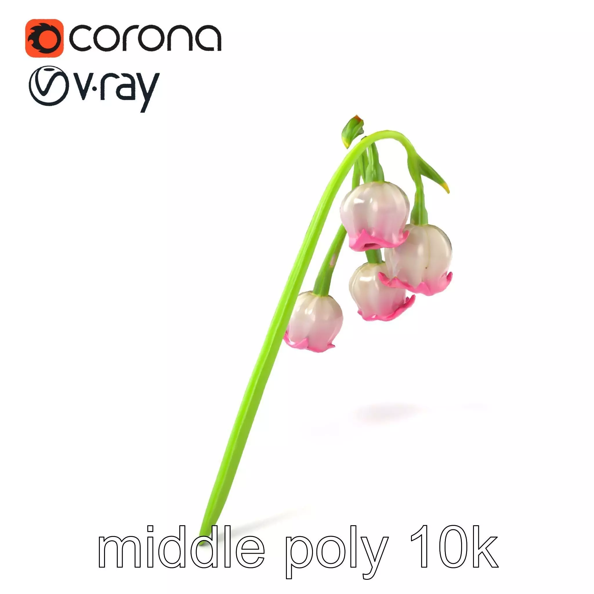 Bicolor Lily of the Valley model pack Low-poly 3D model_0