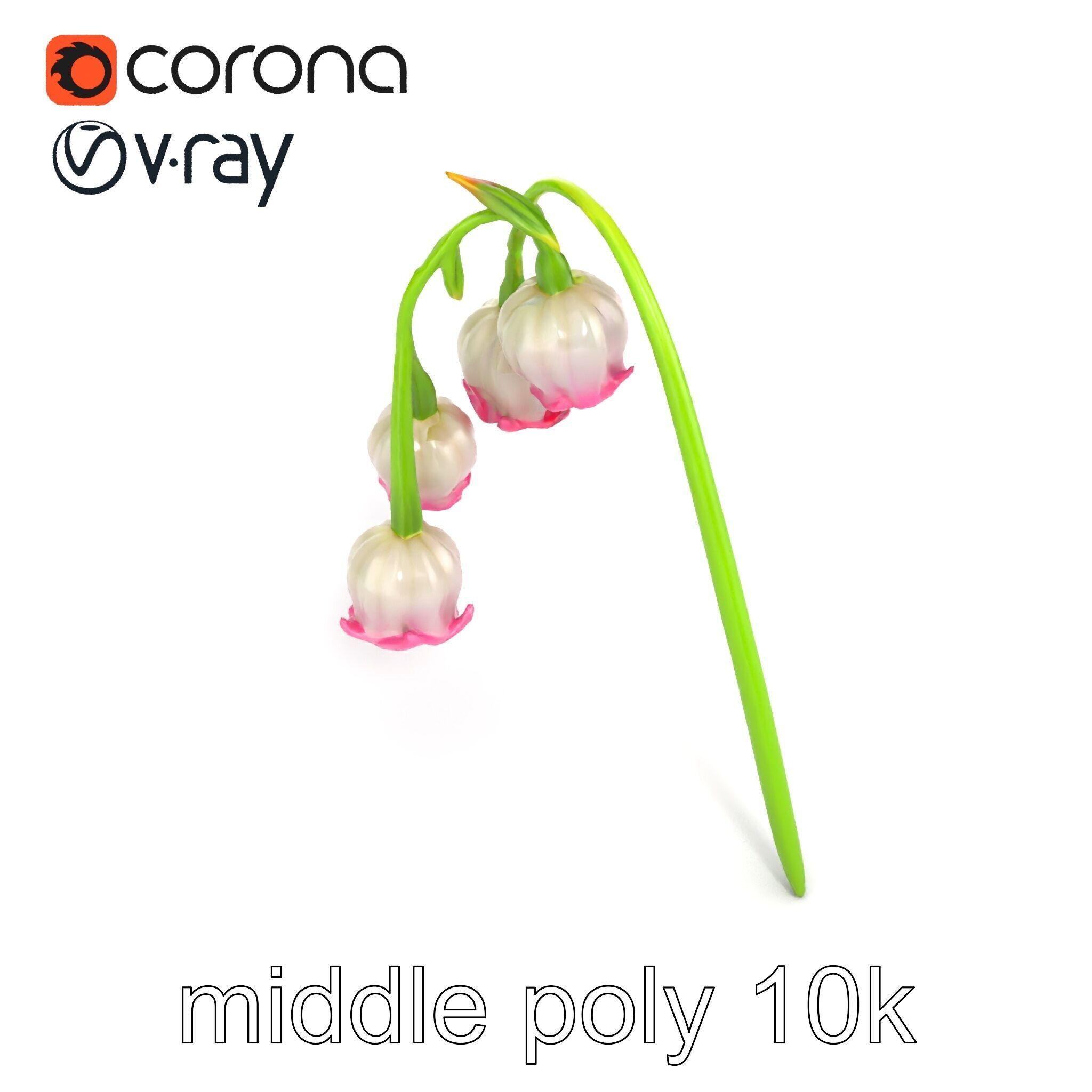 Bicolor Lily of the Valley model pack Low-poly 3D model_17