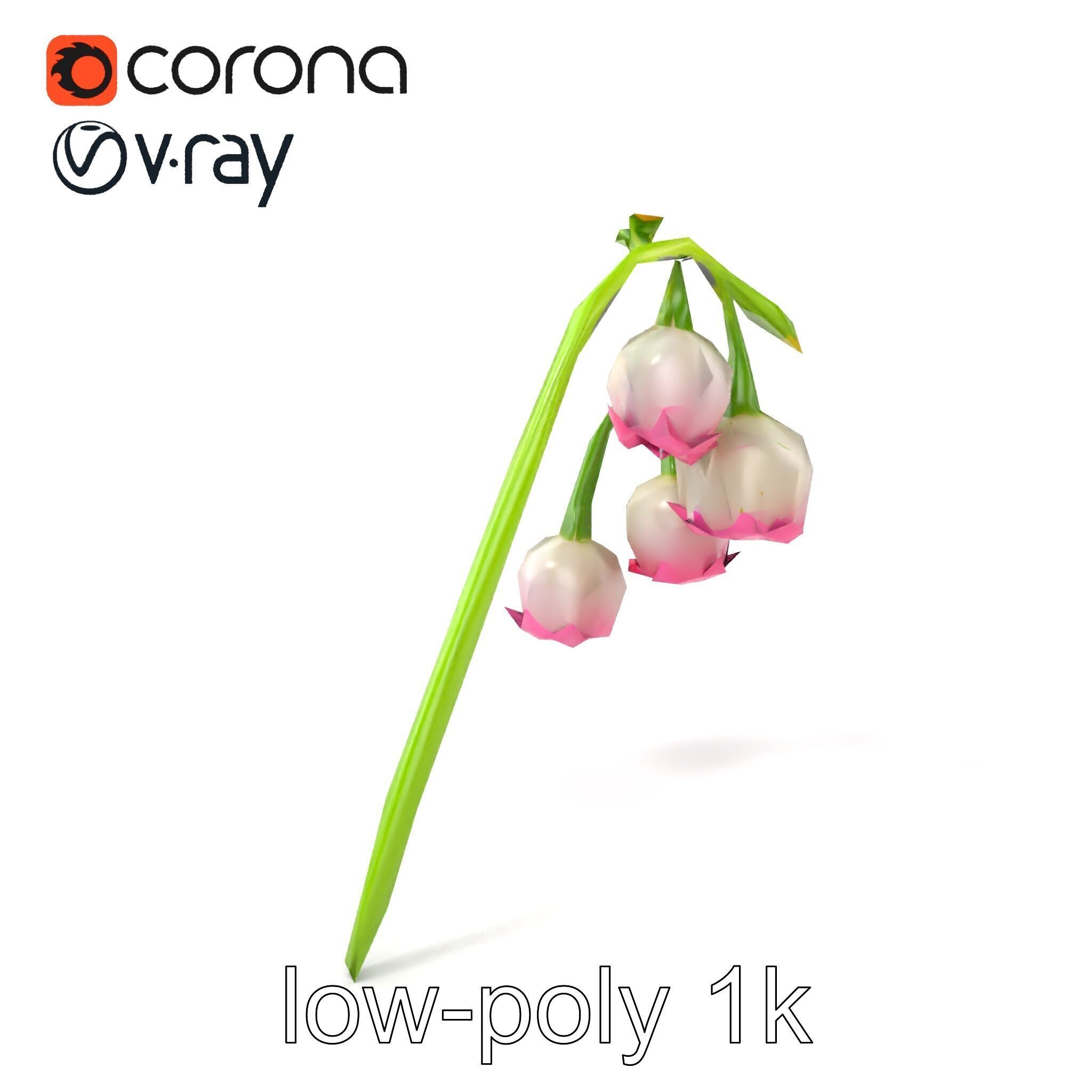 Bicolor Lily of the Valley model pack Low-poly 3D model_4