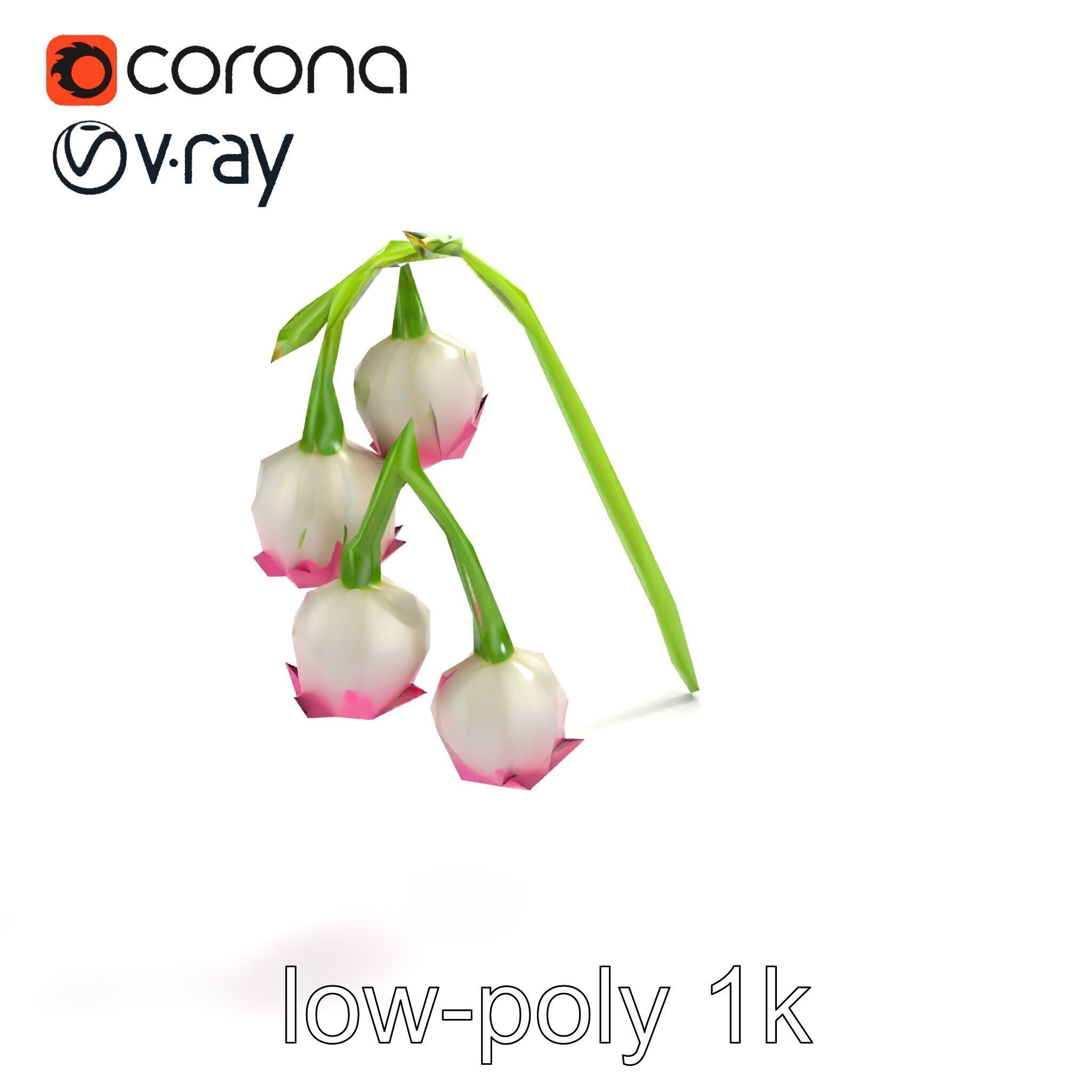Bicolor Lily of the Valley model pack Low-poly 3D model_8
