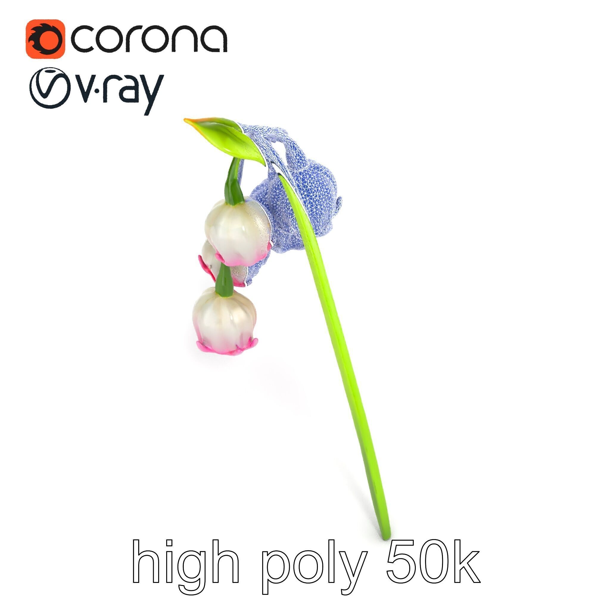 Bicolor Lily of the Valley model pack Low-poly 3D model_13