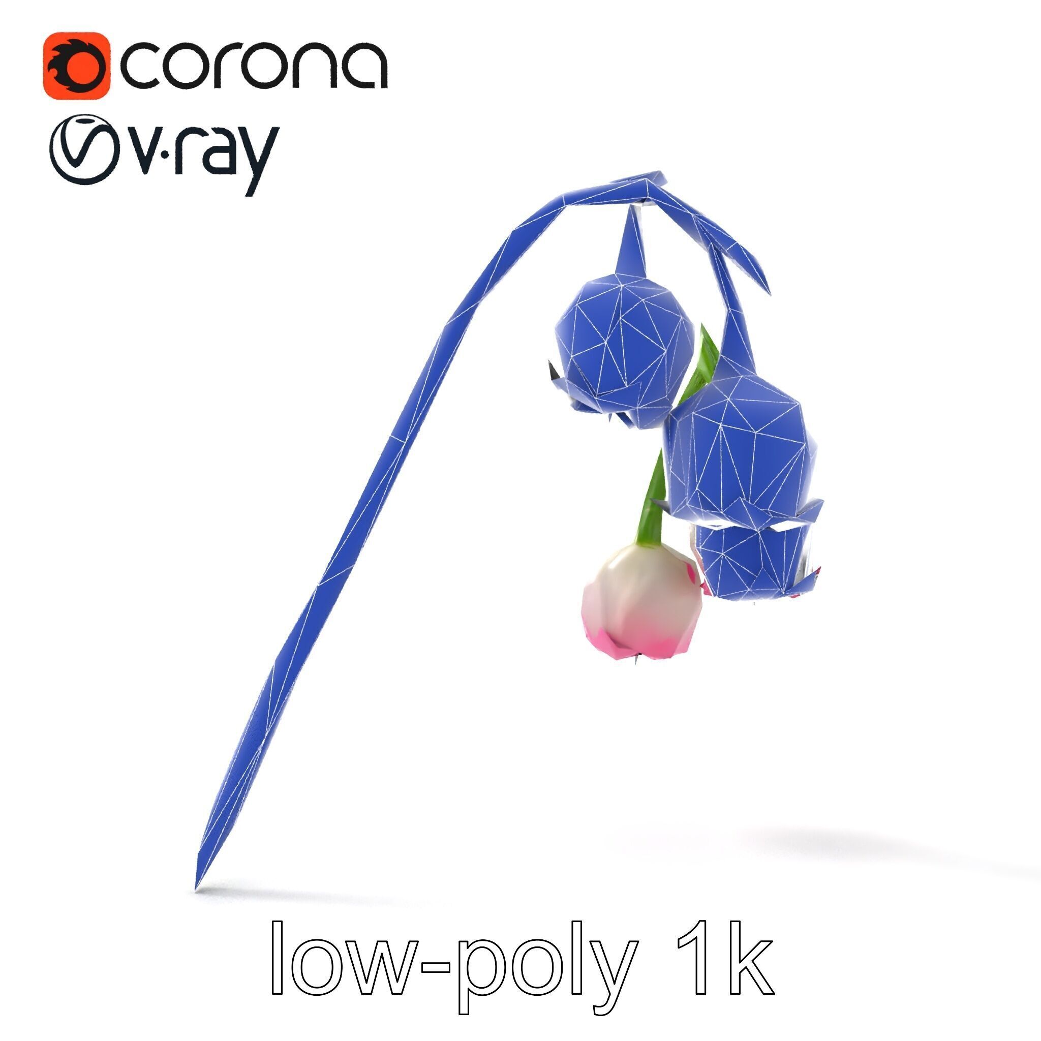 Bicolor Lily of the Valley model pack Low-poly 3D model_14