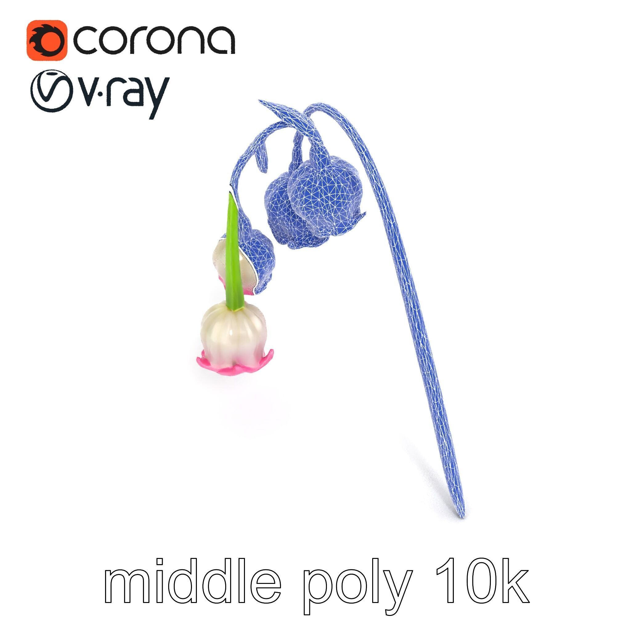 Bicolor Lily of the Valley model pack Low-poly 3D model_28