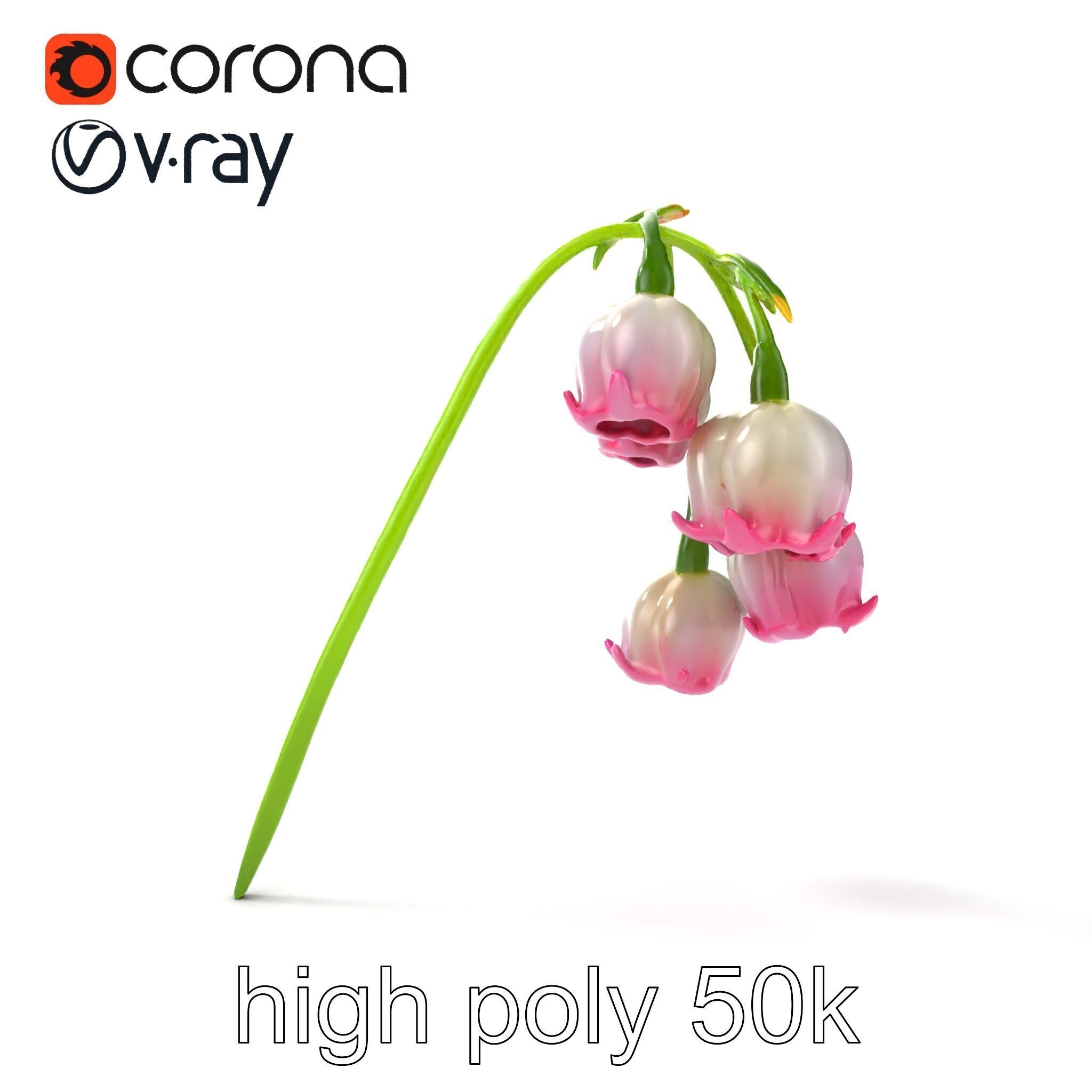 Bicolor Lily of the Valley model pack Low-poly 3D model_24