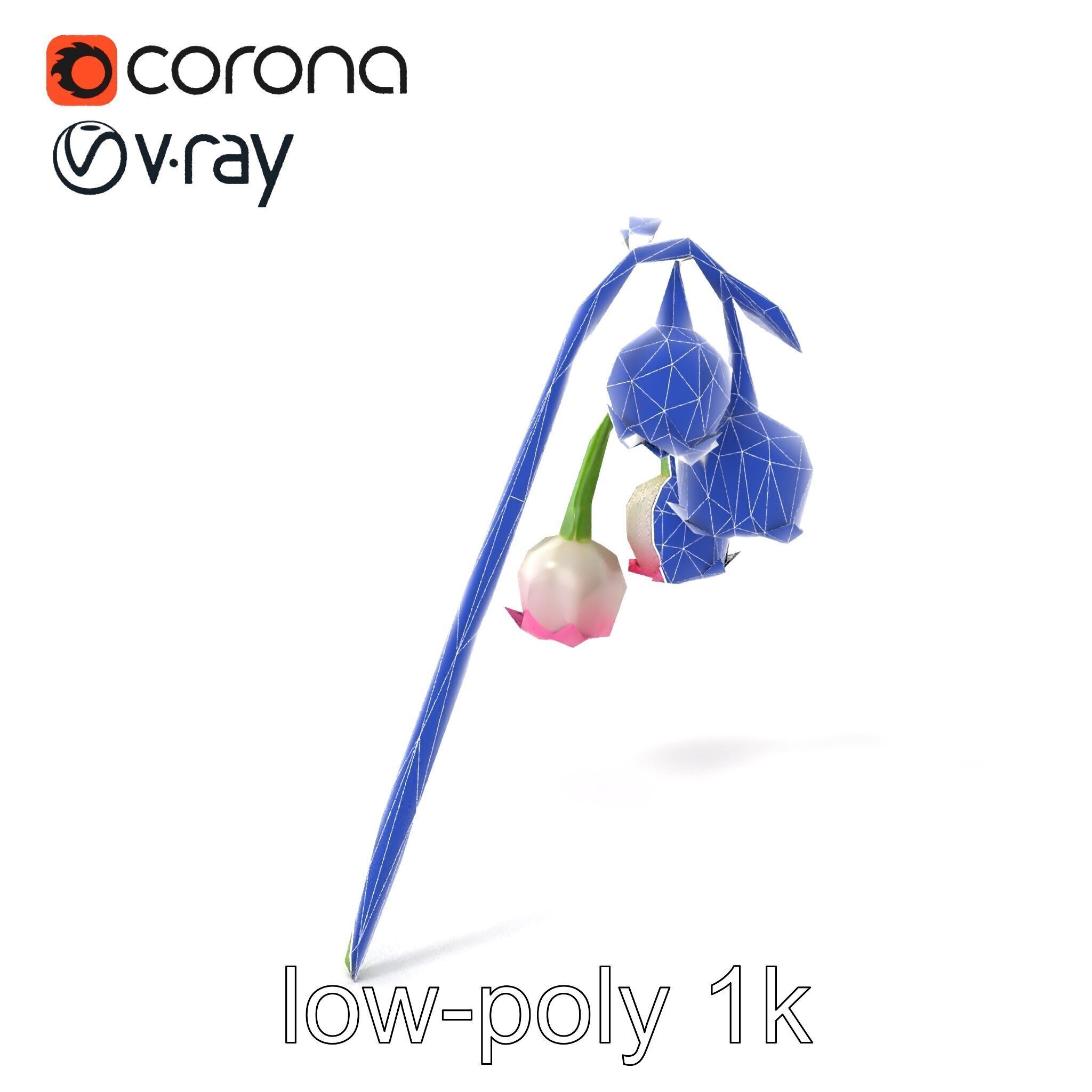 Bicolor Lily of the Valley model pack Low-poly 3D model_6