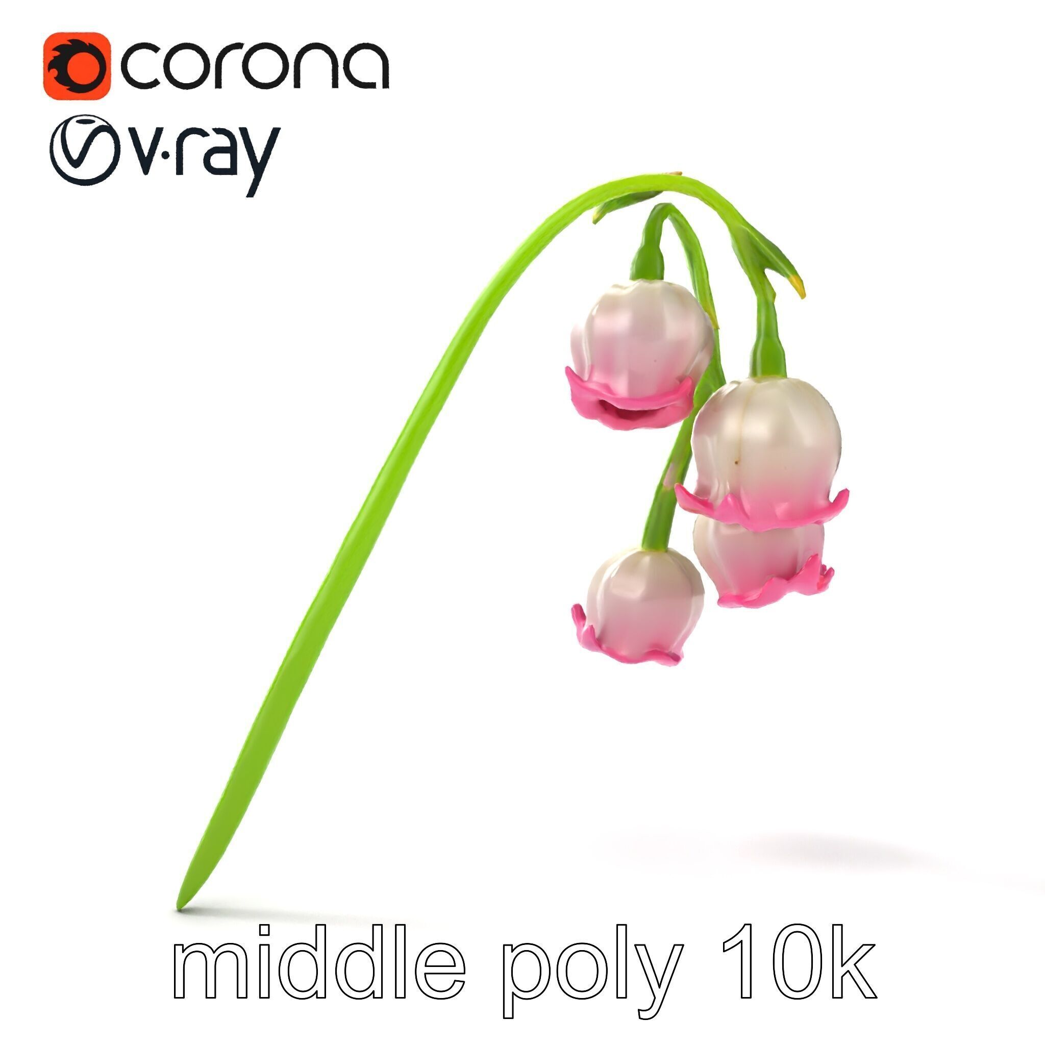 Bicolor Lily of the Valley model pack Low-poly 3D model_12