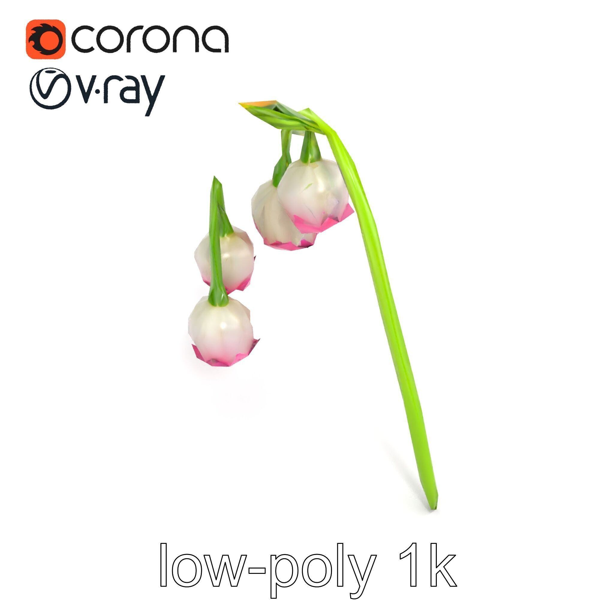 Bicolor Lily of the Valley model pack Low-poly 3D model_11