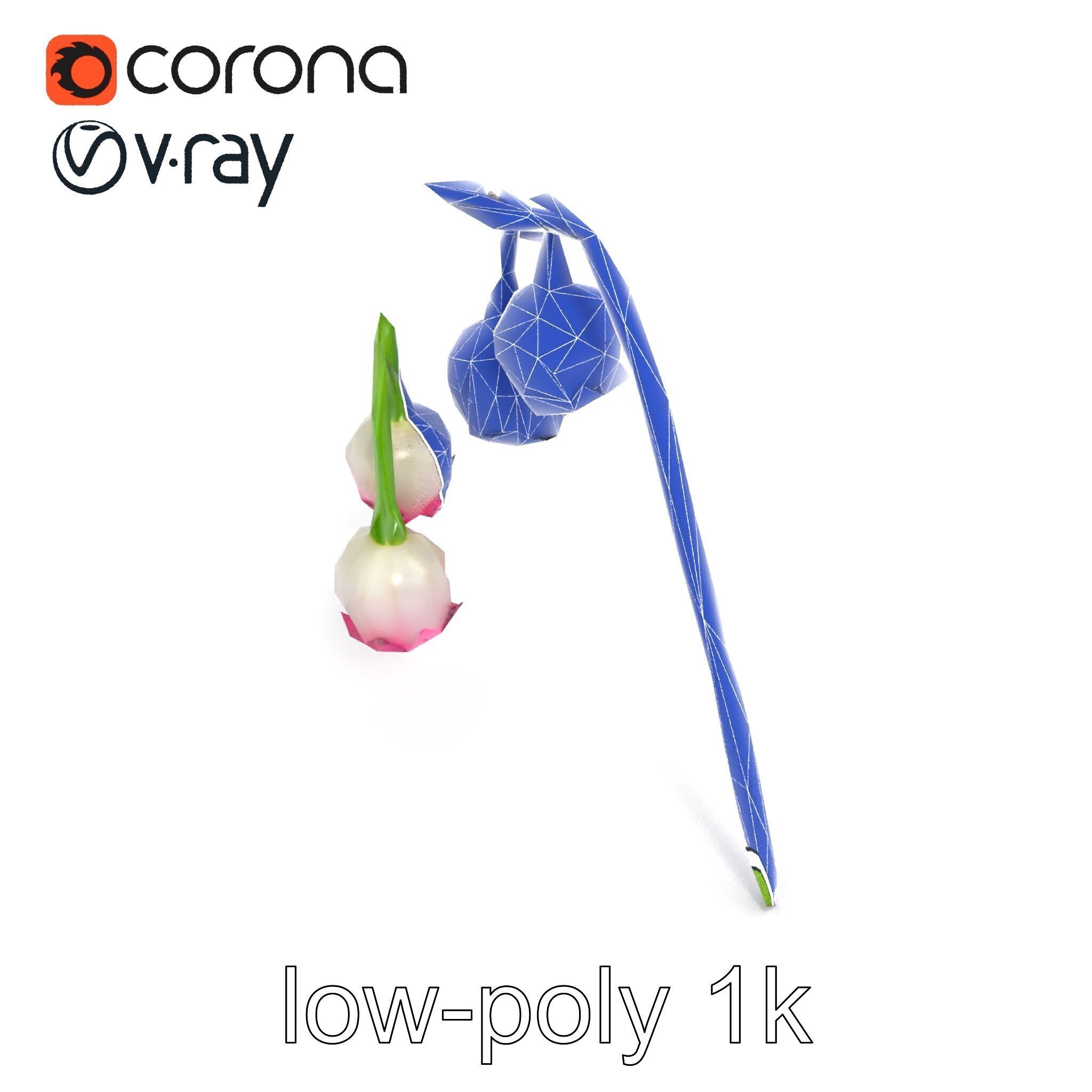 Bicolor Lily of the Valley model pack Low-poly 3D model_16