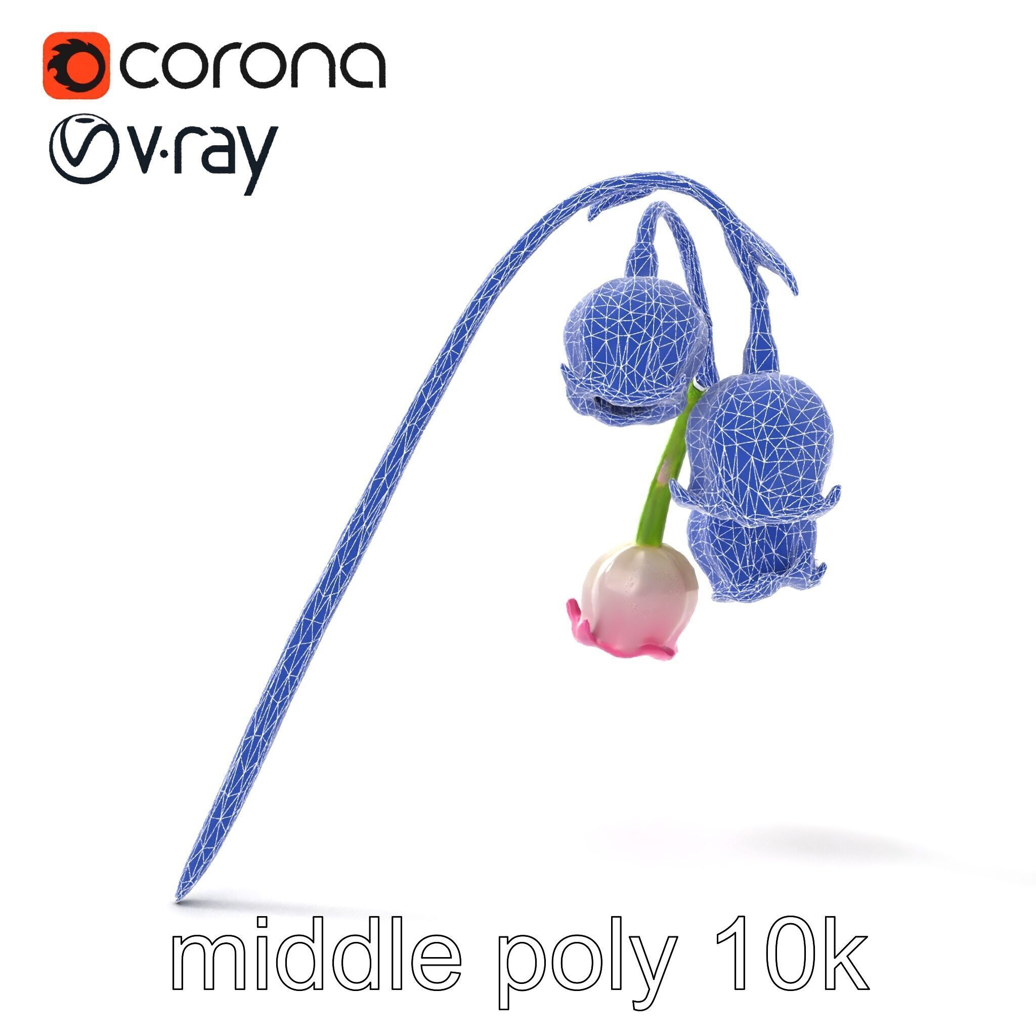 Bicolor Lily of the Valley model pack Low-poly 3D model_25