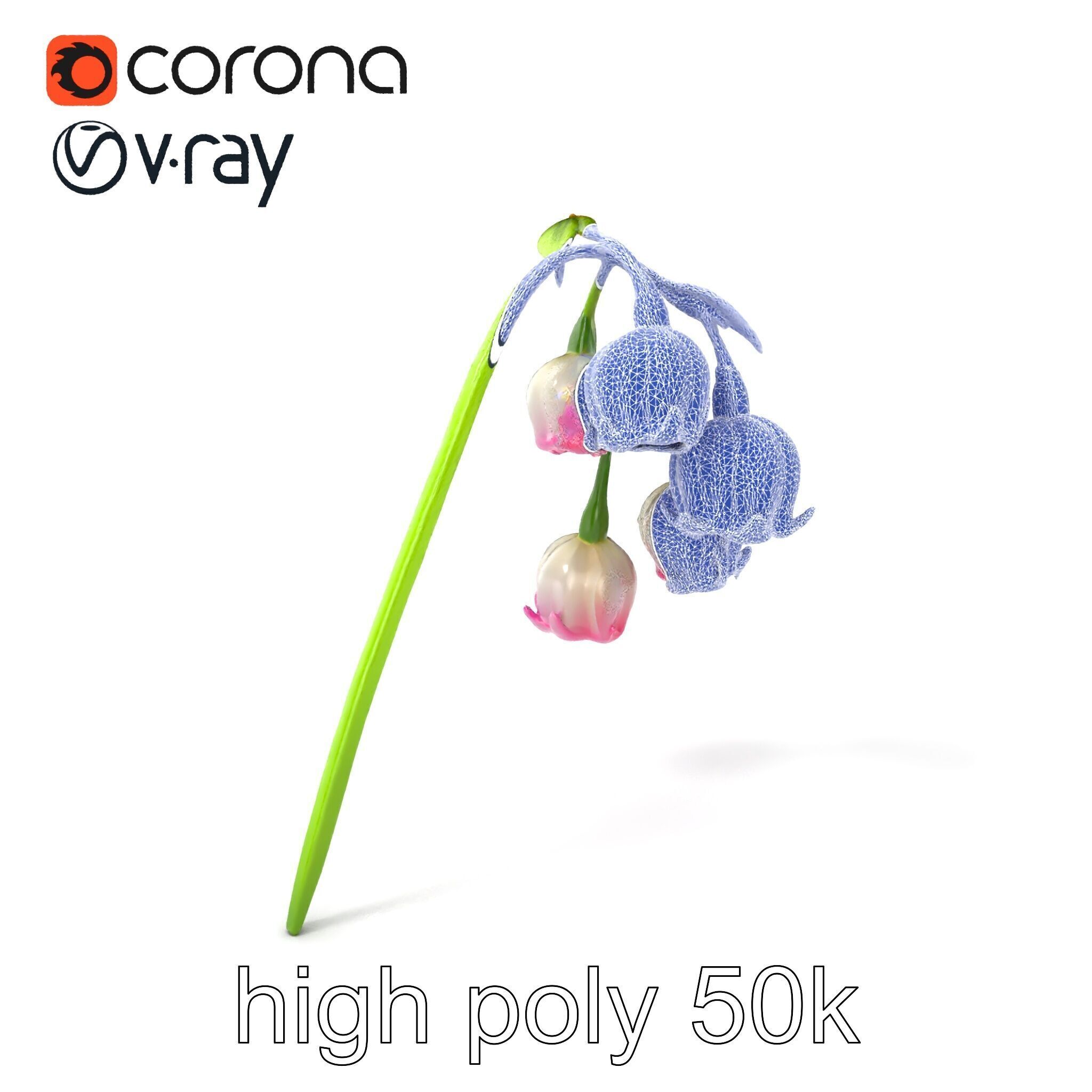 Bicolor Lily of the Valley model pack Low-poly 3D model_1