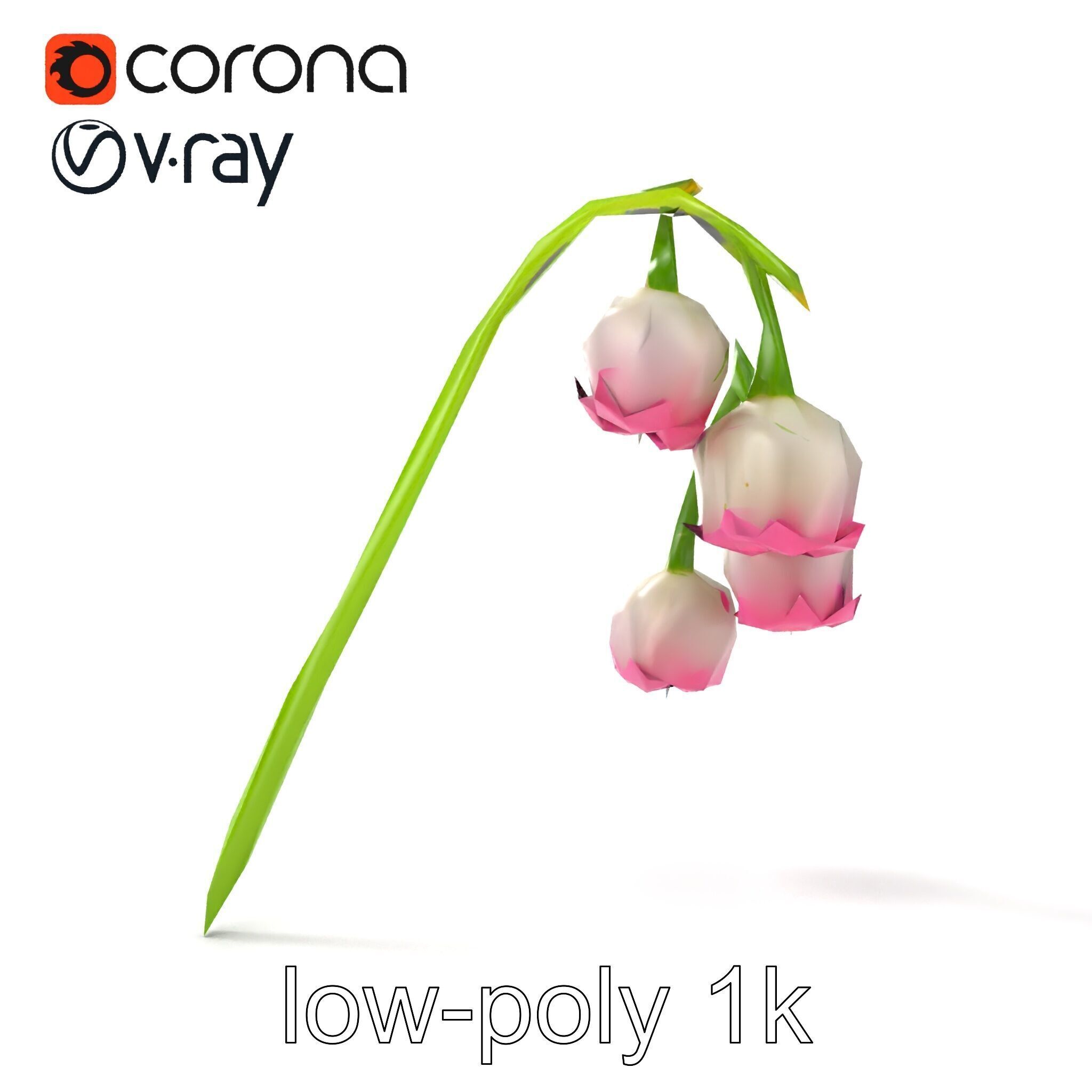 Bicolor Lily of the Valley model pack Low-poly 3D model_18