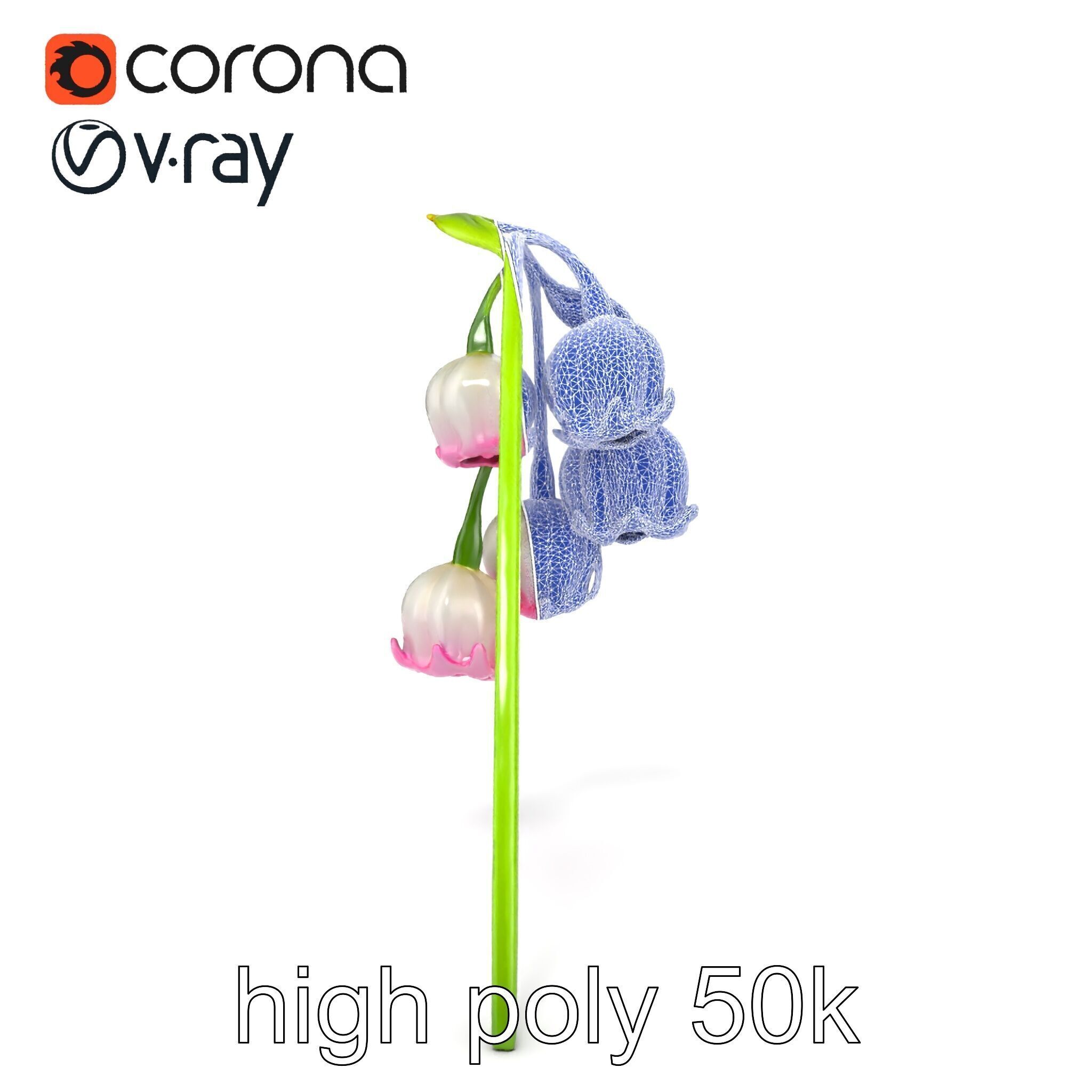 Bicolor Lily of the Valley model pack Low-poly 3D model_30