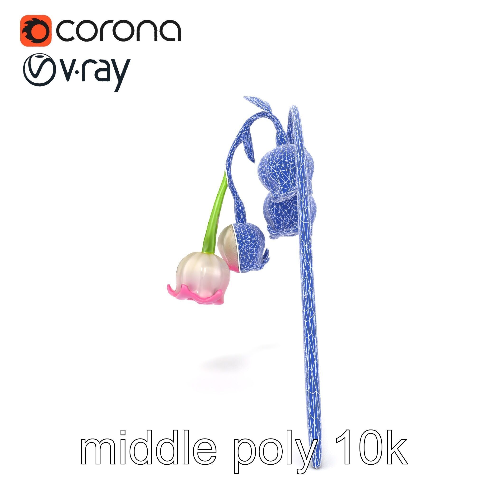 Bicolor Lily of the Valley model pack Low-poly 3D model_27