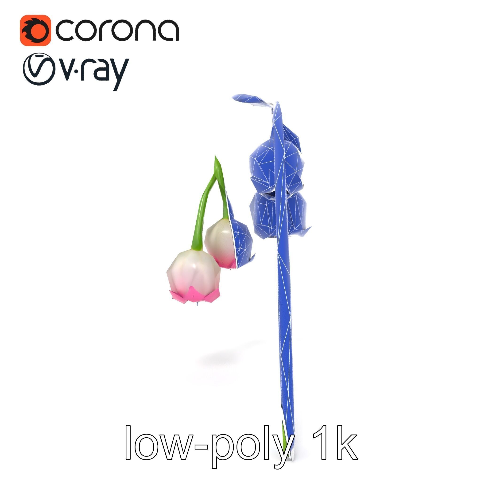 Bicolor Lily of the Valley model pack Low-poly 3D model_26
